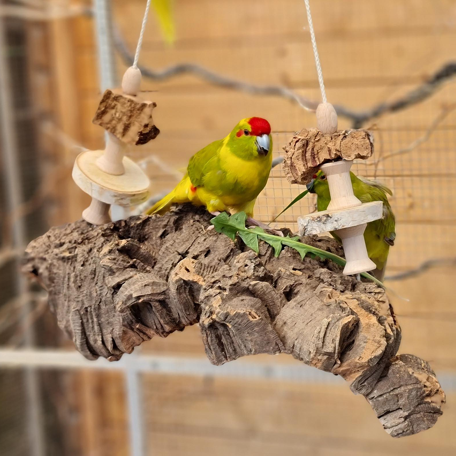 korkschredder_spielplatz_grossMYh2fbTi3bP21