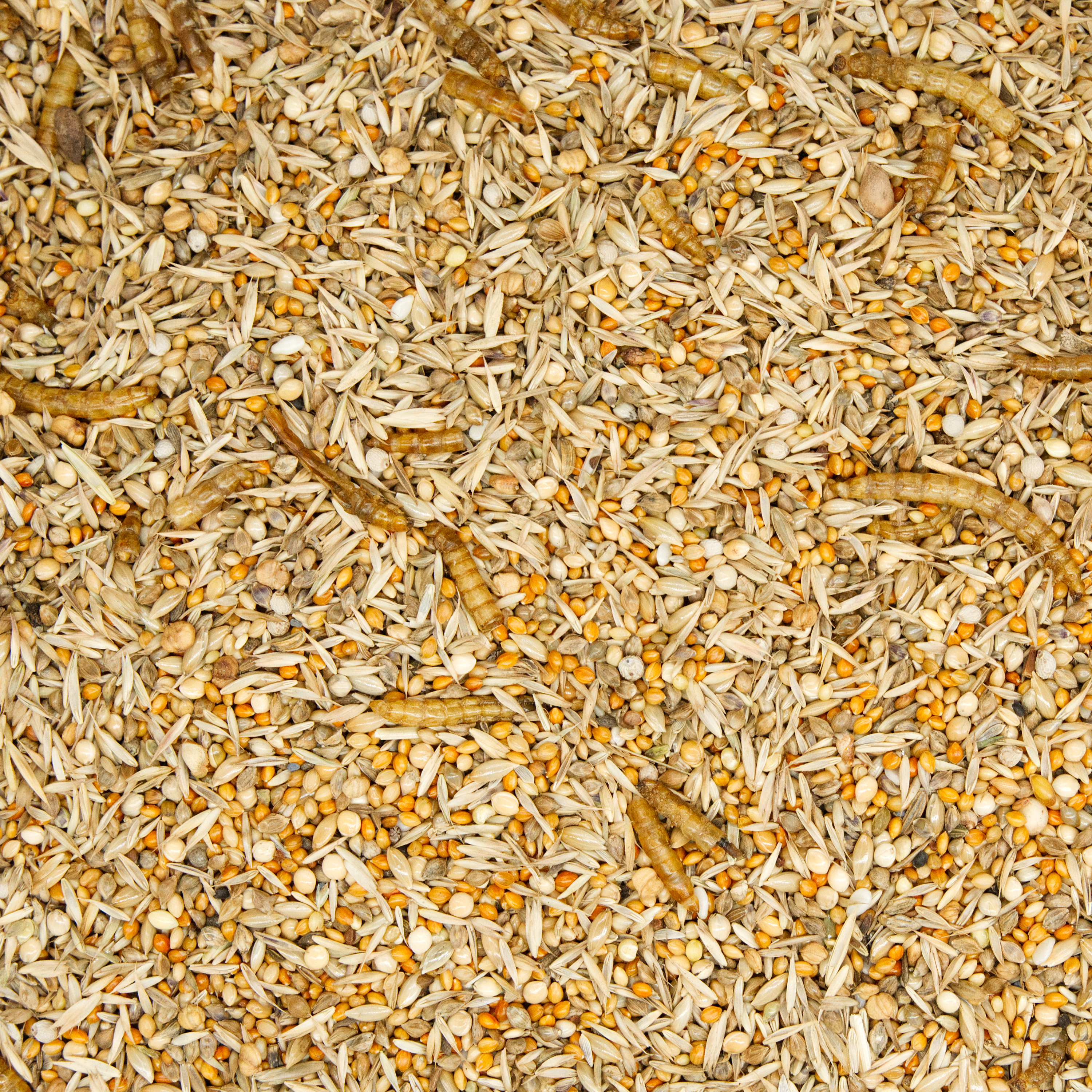 diamanttaubenfutter_koernerbude