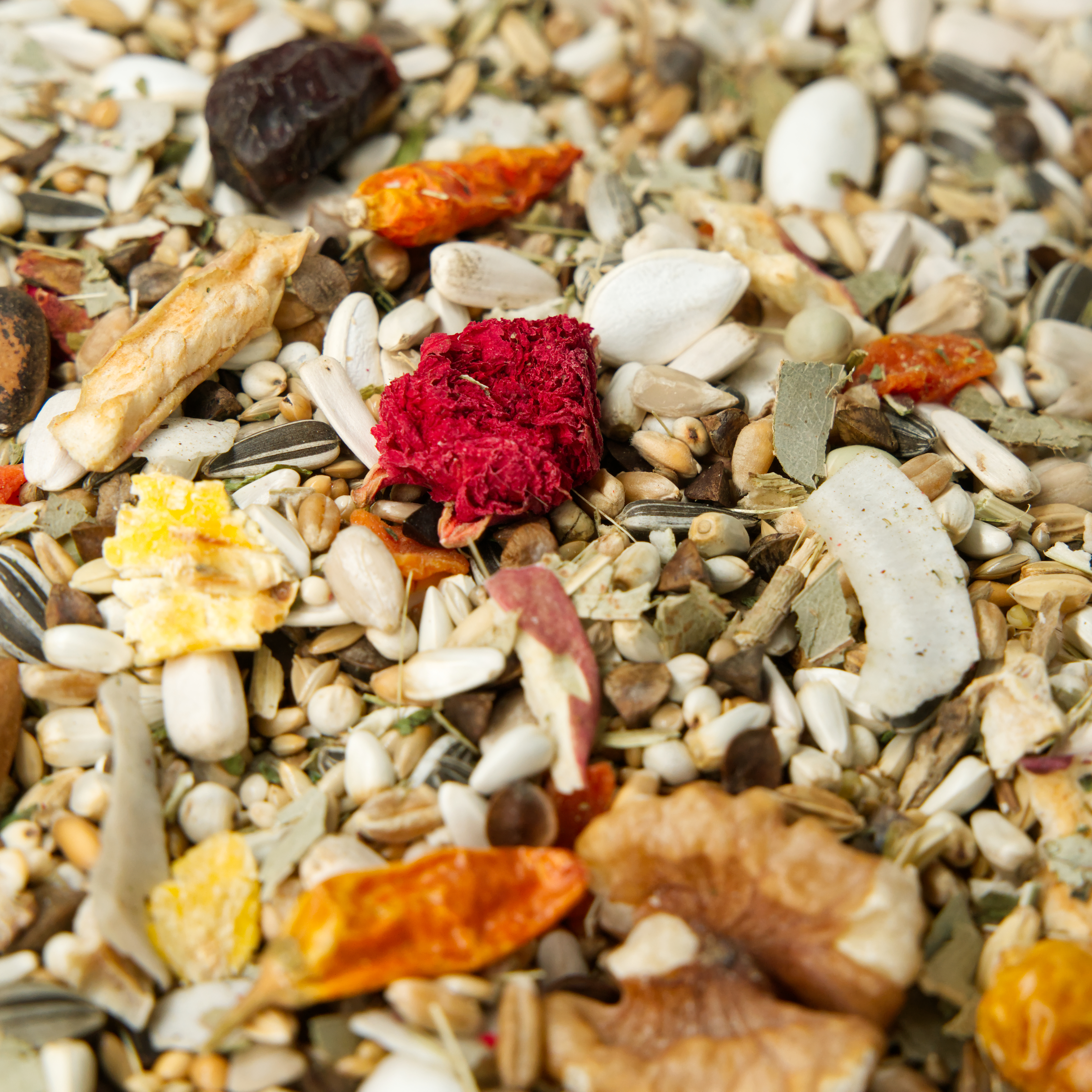 papageien_professional_papageienfutter_amazonenfutter_graupapageienfutter_neue-rezeptur-mit-nuessenkoernerbude1