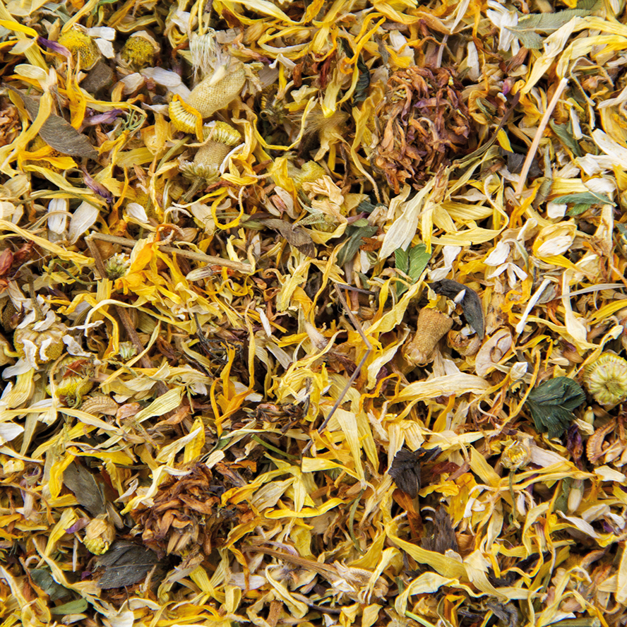 Kräutertee Haut & Feder 100g