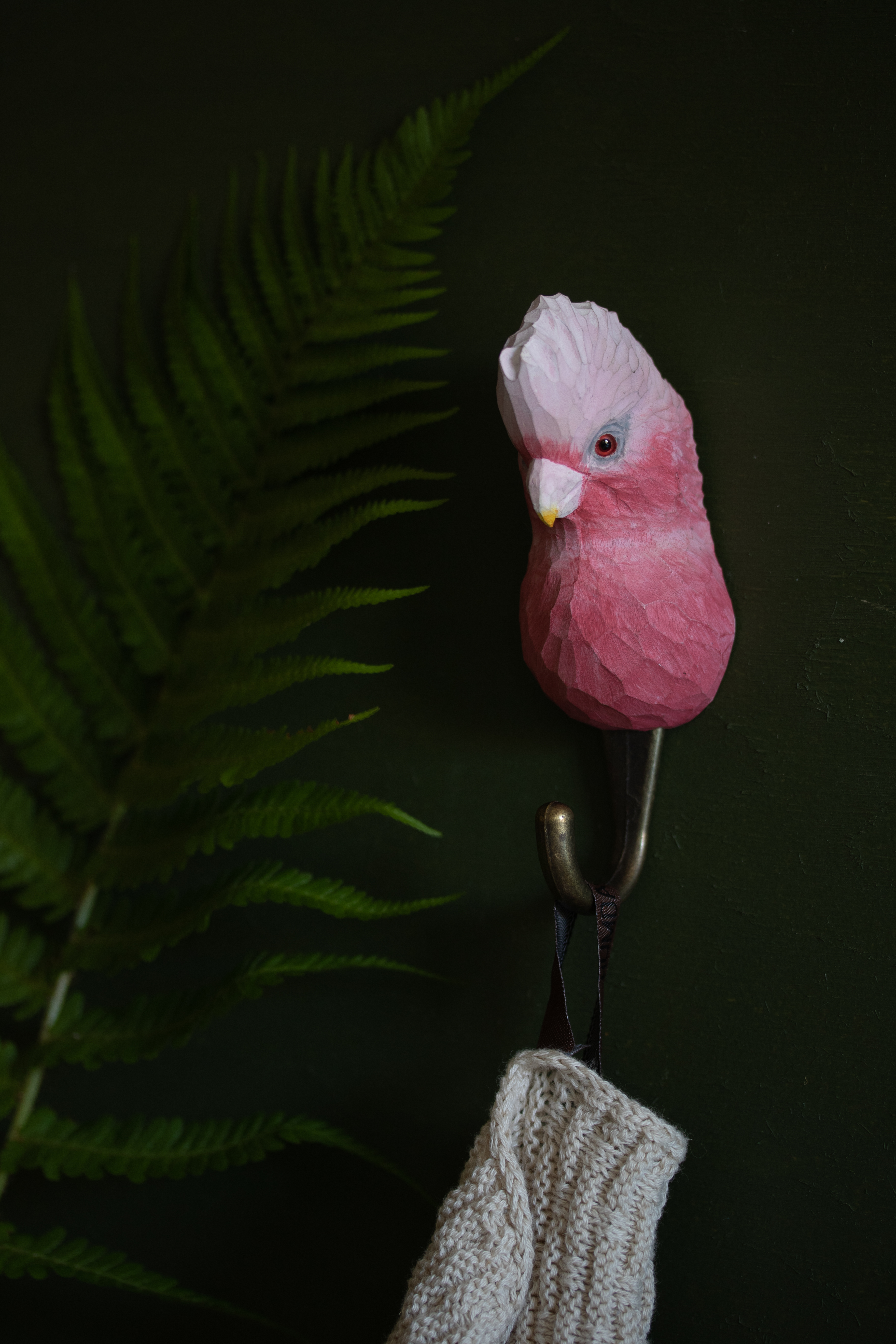 WG4530_Hook_Galah_Lifestyle-1fegayZsaIZRky