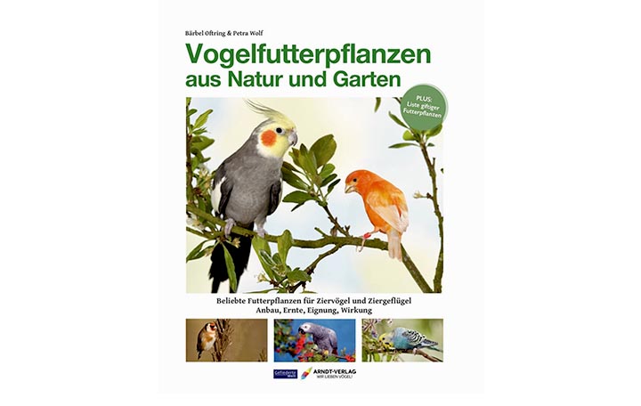 Oftring/Wolf: Vogelfutterpflanzen aus Natur und Garten
