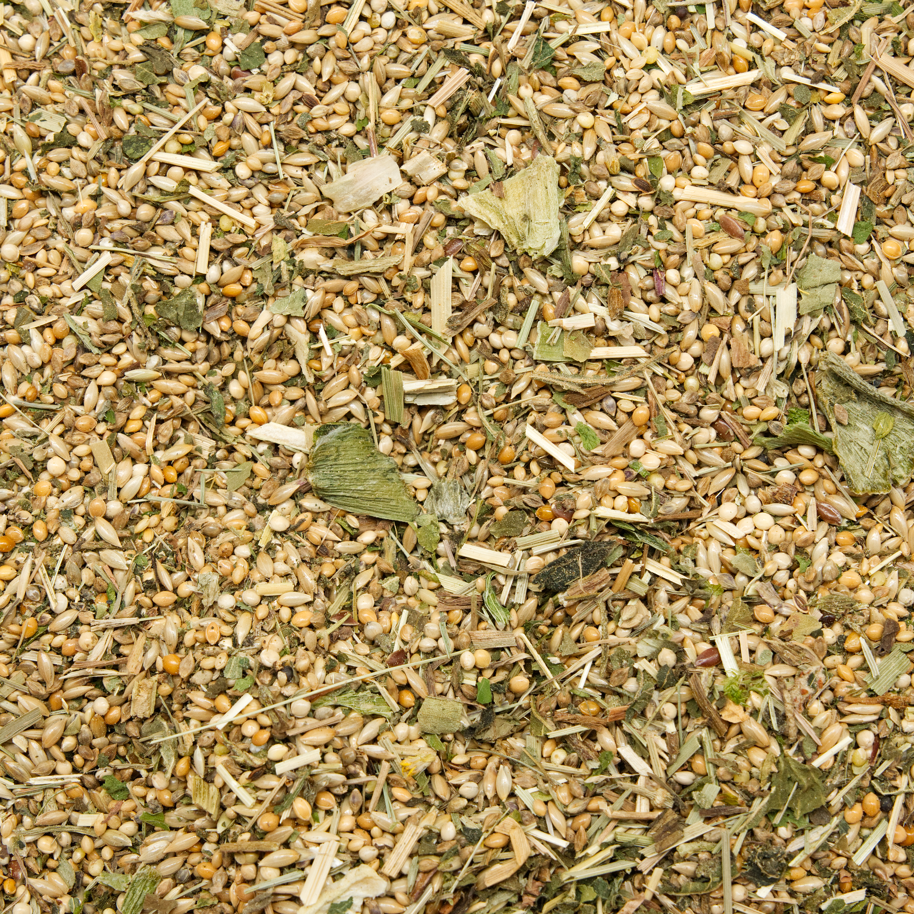 mischung_gelebnk_aktiv_wellensittichfutter_koernerbude Mischung Gelenk-Aktiv 500g