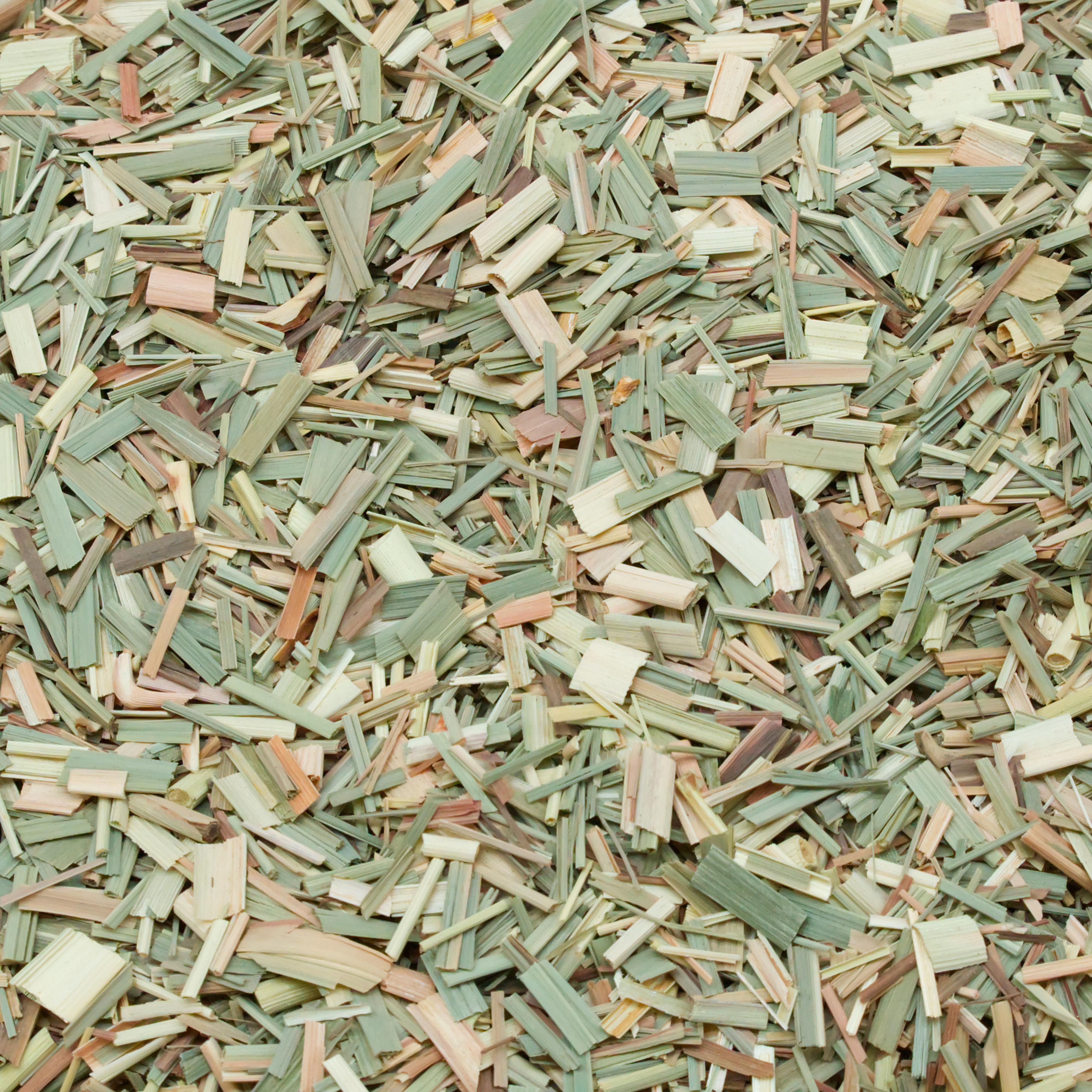 leongras-einzelfutter-fuer-voegel-koernerbude1 Lemongras, Feinschnitt