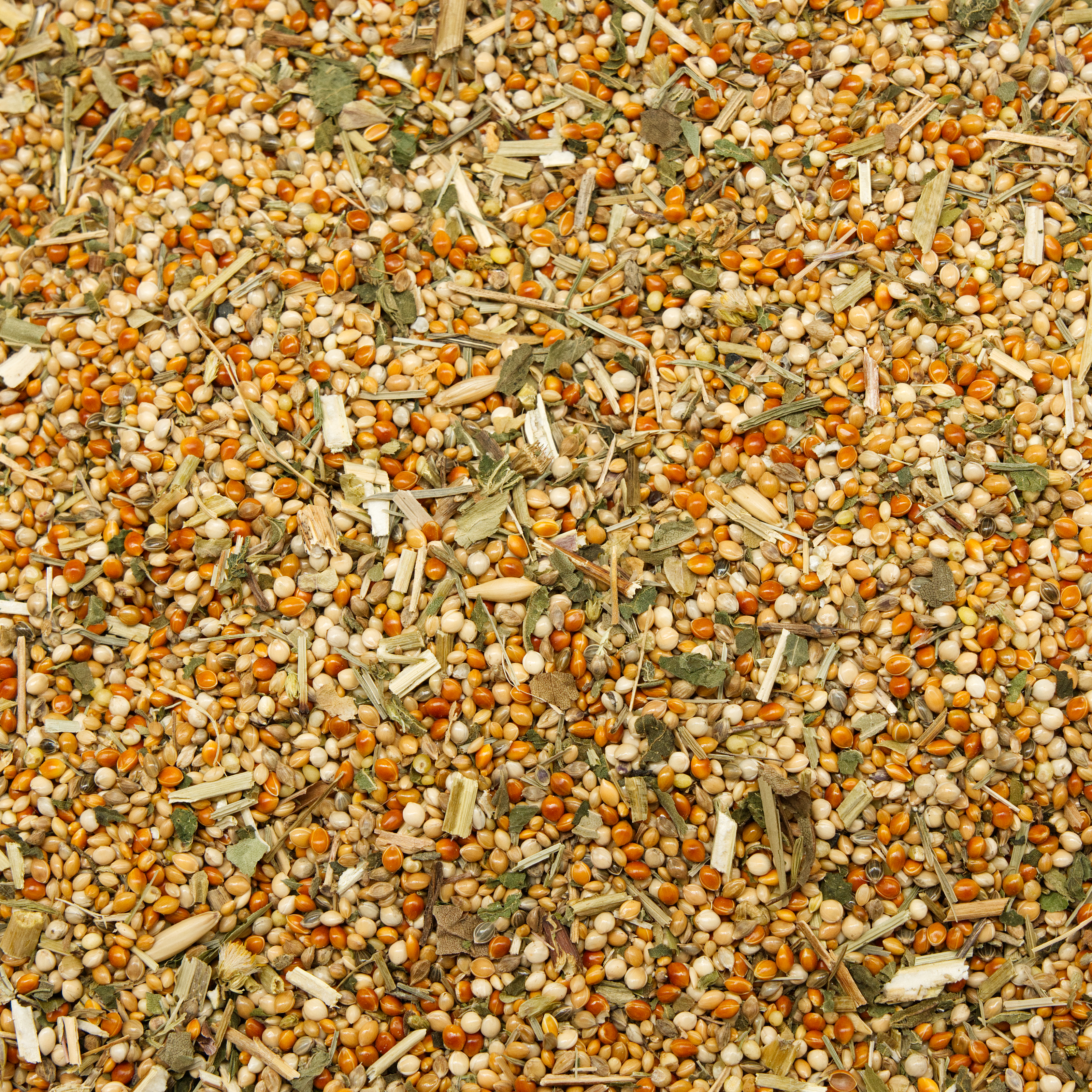 Kräutermischung Protein Light 500g