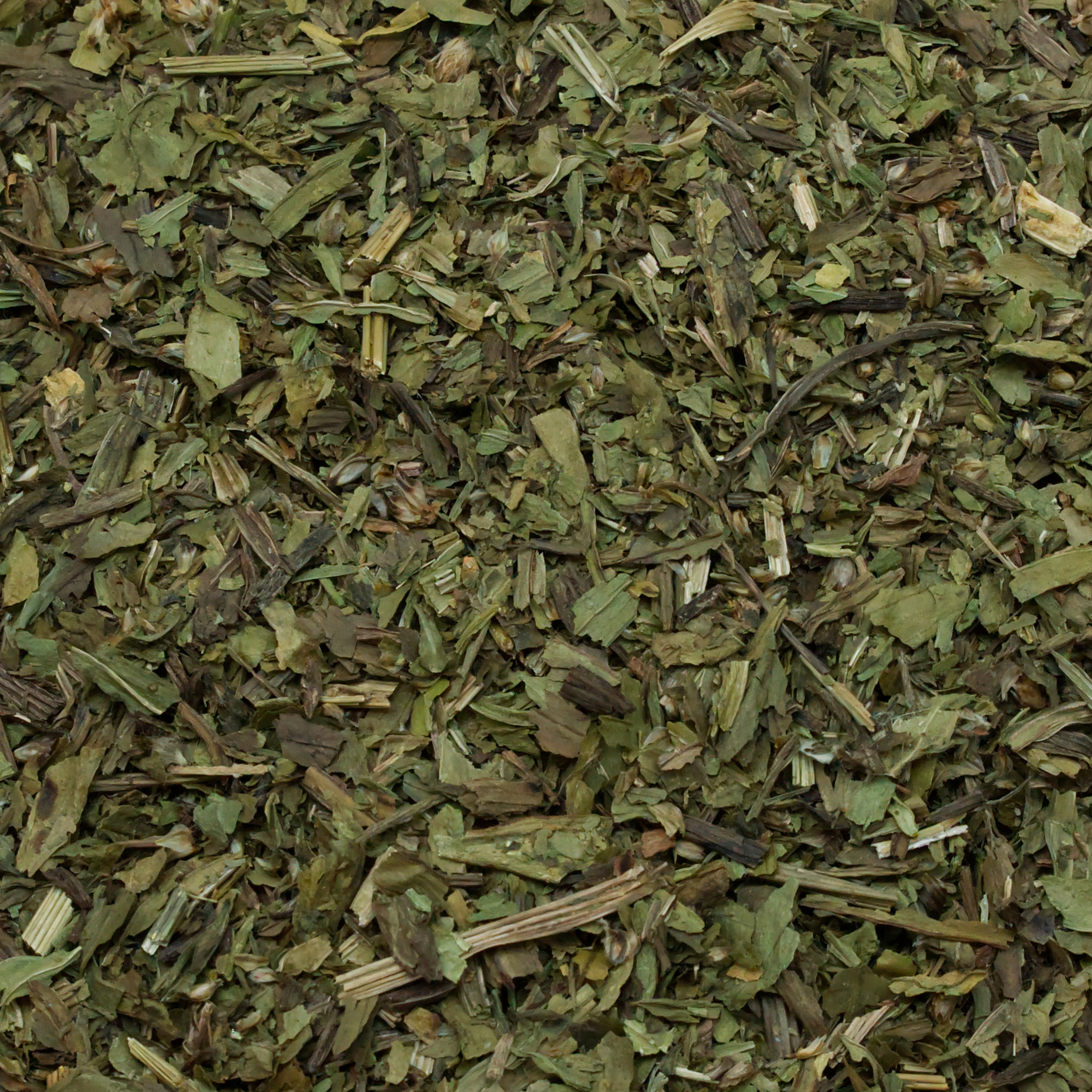 spitzwegerich-einzelfutter-fuer-voegel-koernerbude1 Spitzwegerich getrocknet geschnitten