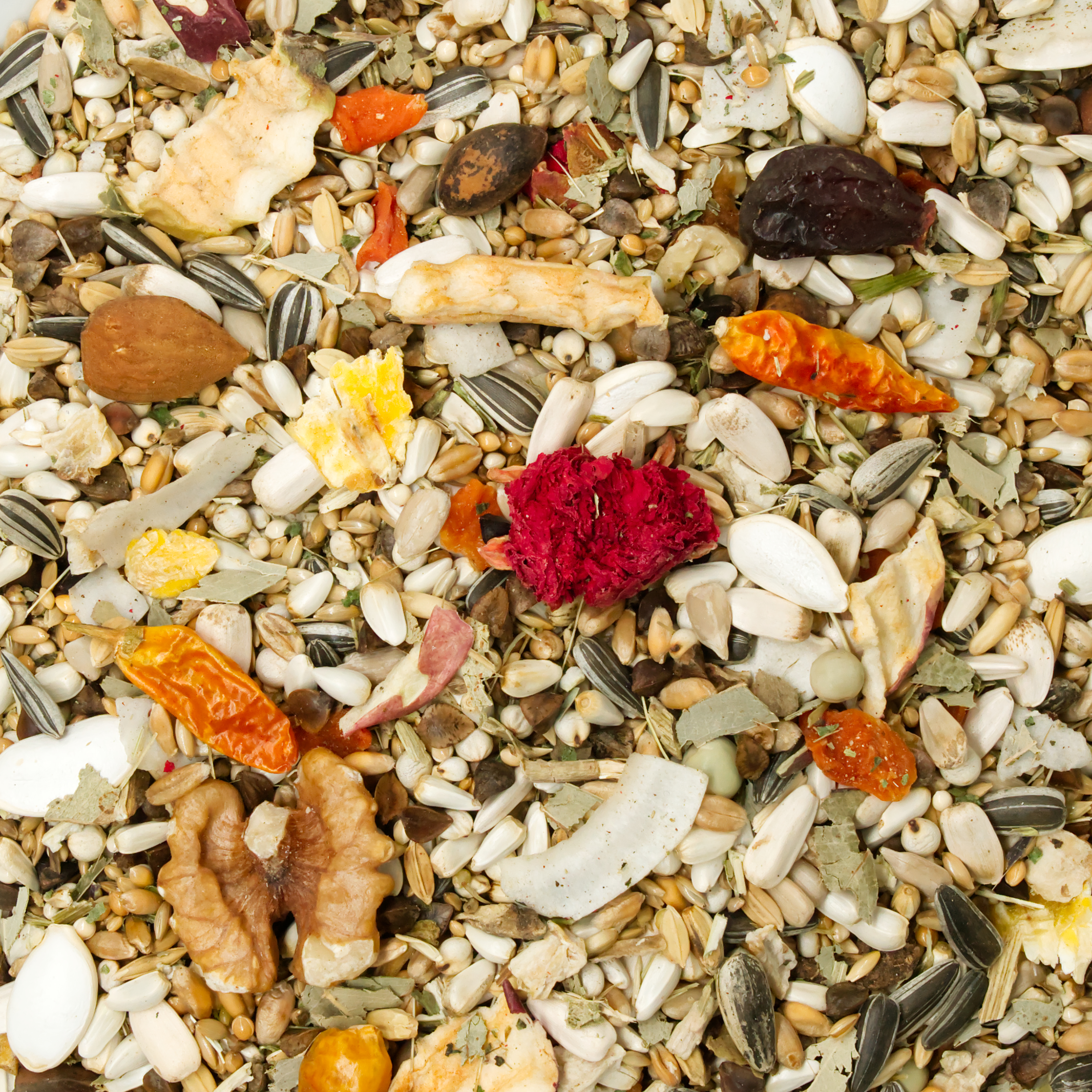 papageien_professional_papageienfutter_amazonenfutter_graupapageienfutter_neue-rezeptur-mit-nuessenkoernerbude