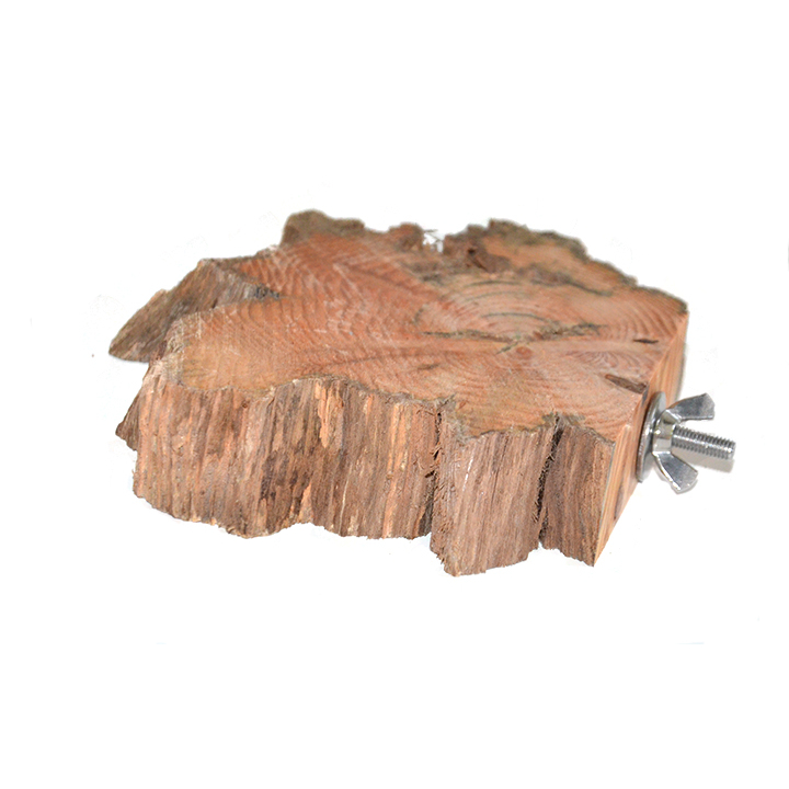 wurzelscheibe_kleinrcMFXvdLseGyg