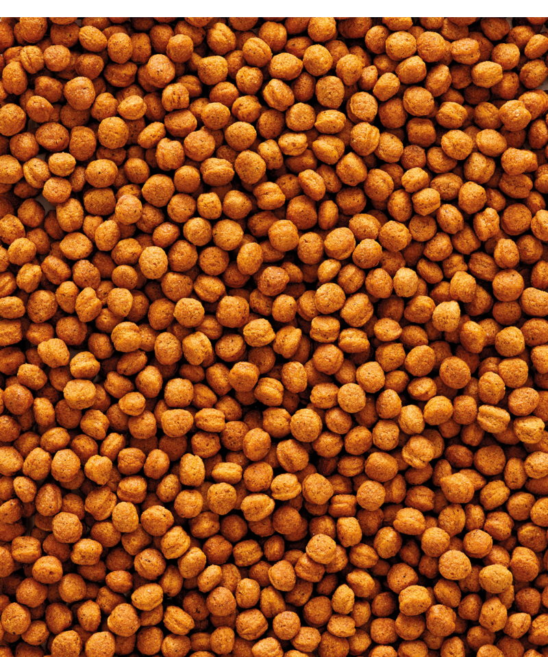 5410340221334foodG6HbKDnedvtEA Beo NutriBird T16