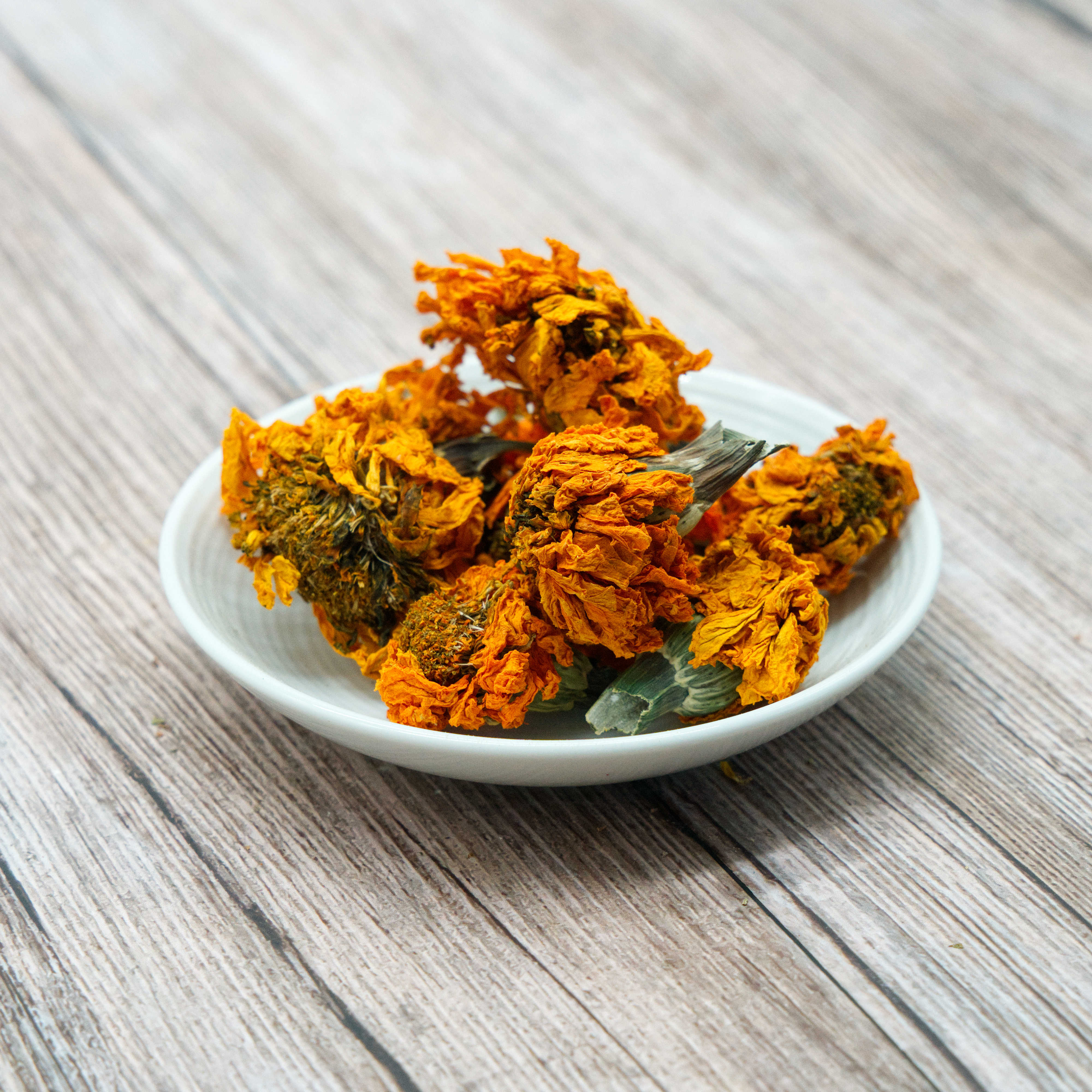 Studentenblumenblüten