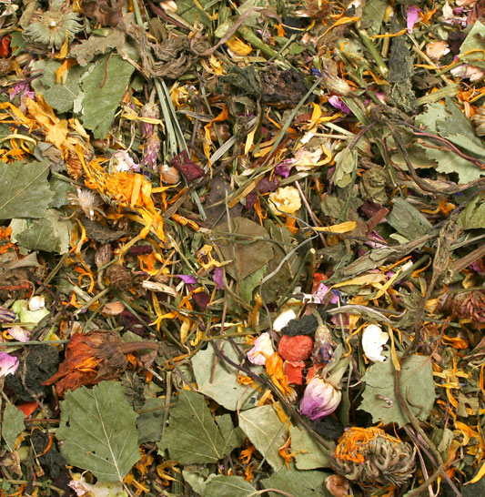 07106_2_JR_FARM_Feldkraeuter_lose