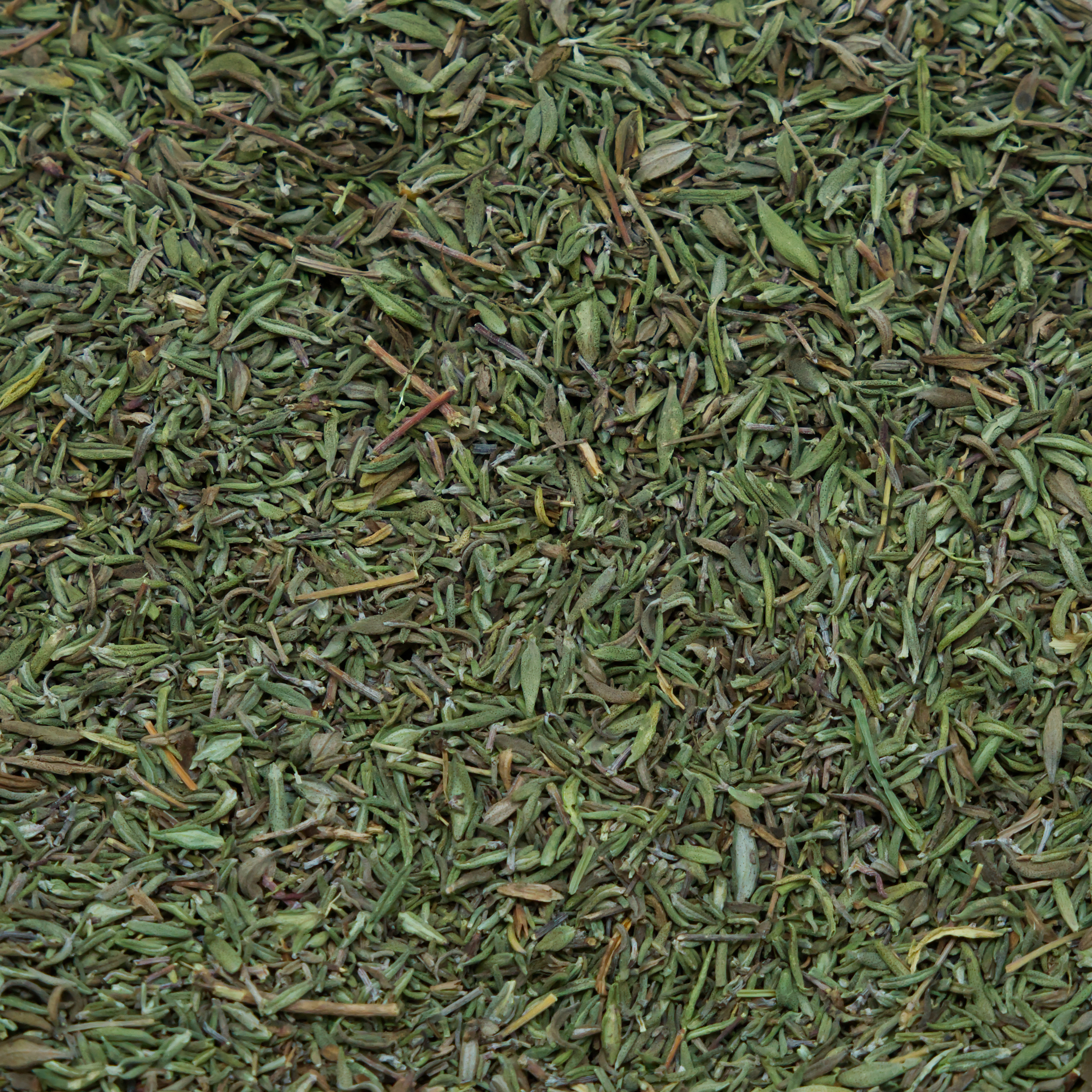 thymian-einzelfutter-fuer-voegel-koernerbude1