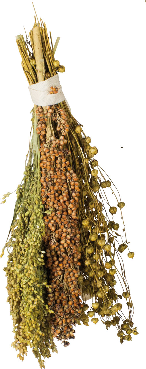 08865_2 JR FARM Birds Snacks Pick & Fly 130g