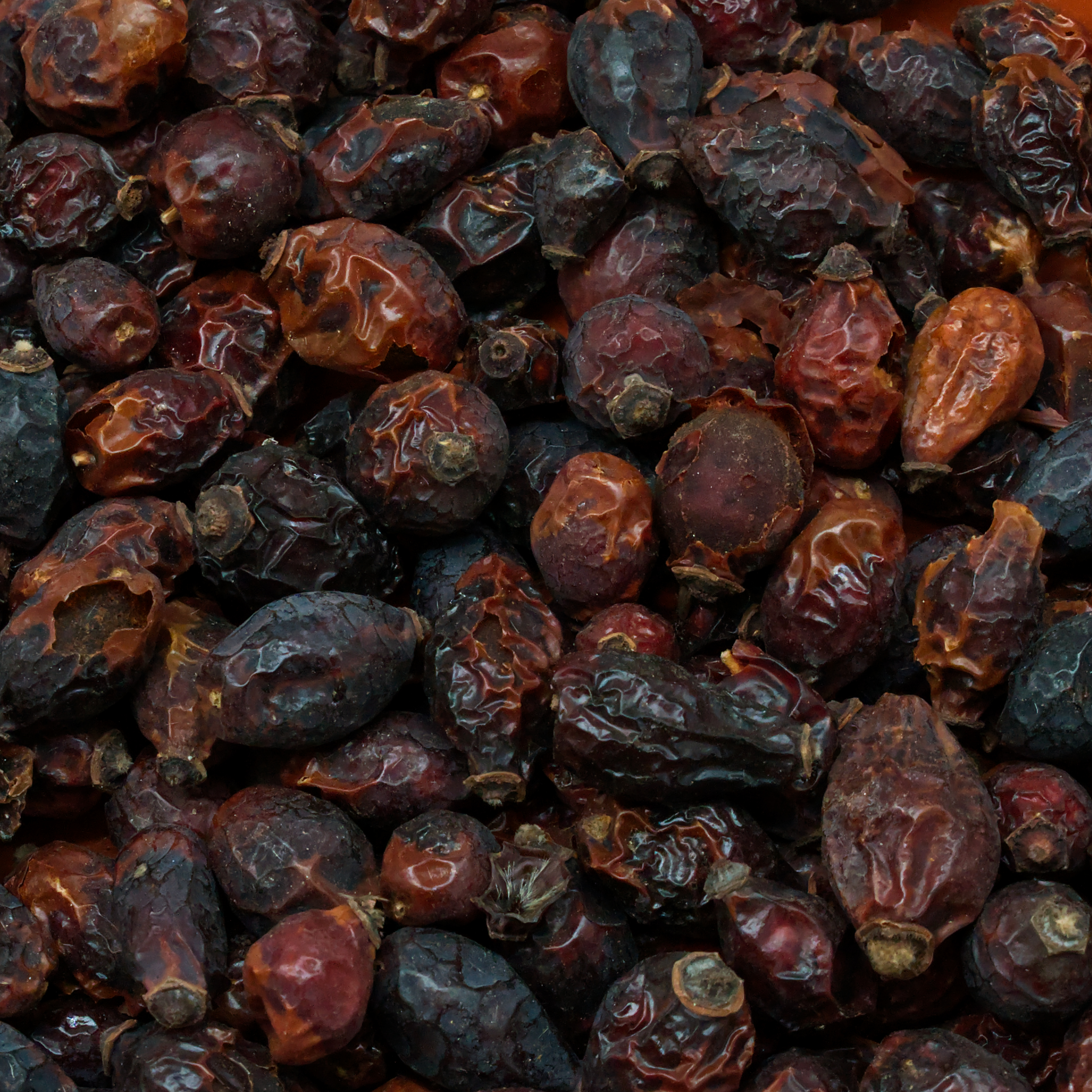 hagebutten-einzelfutter-koernerbude-voegel Hagebutten