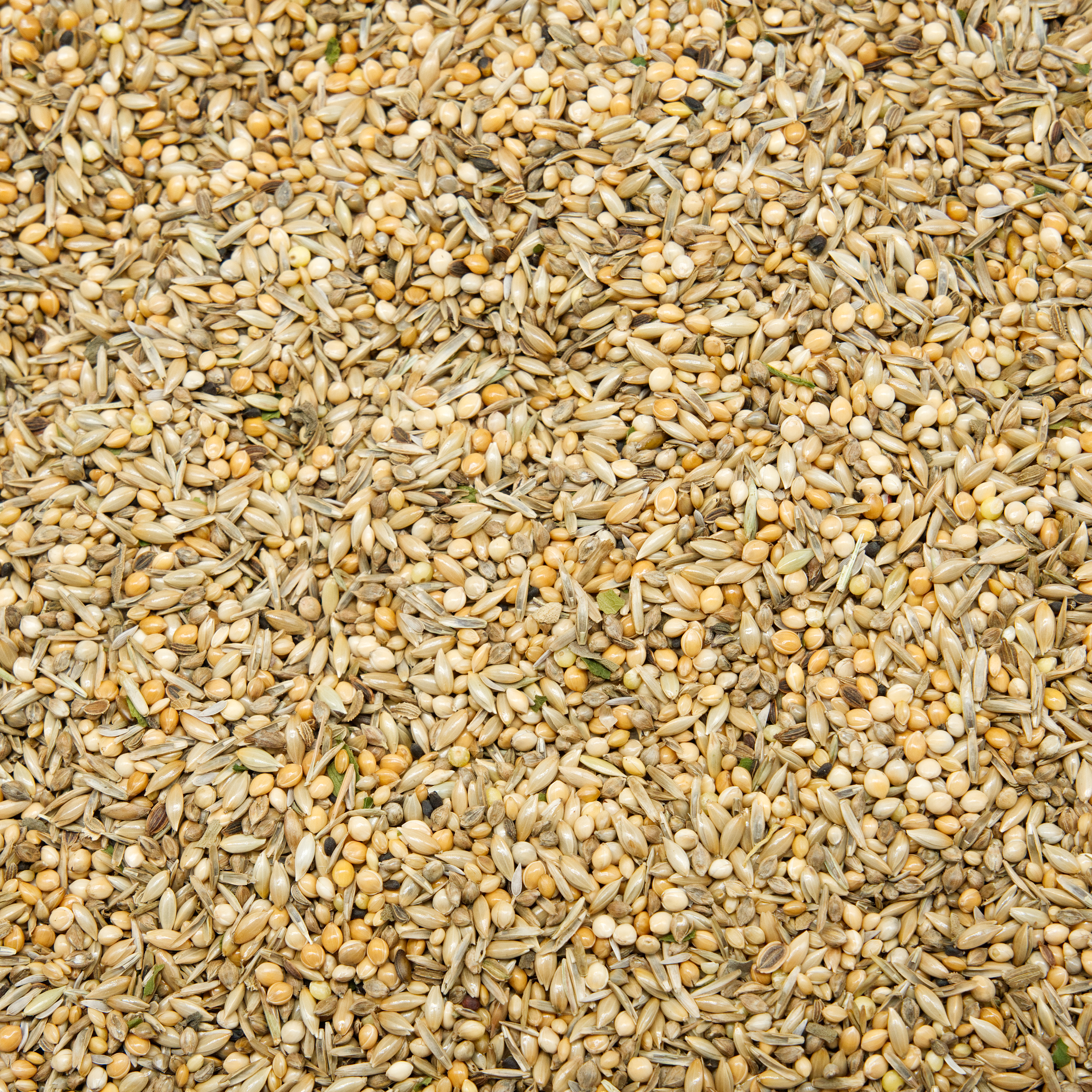 mischung_morgen_muesli_wellensittichfutter_koernerbude