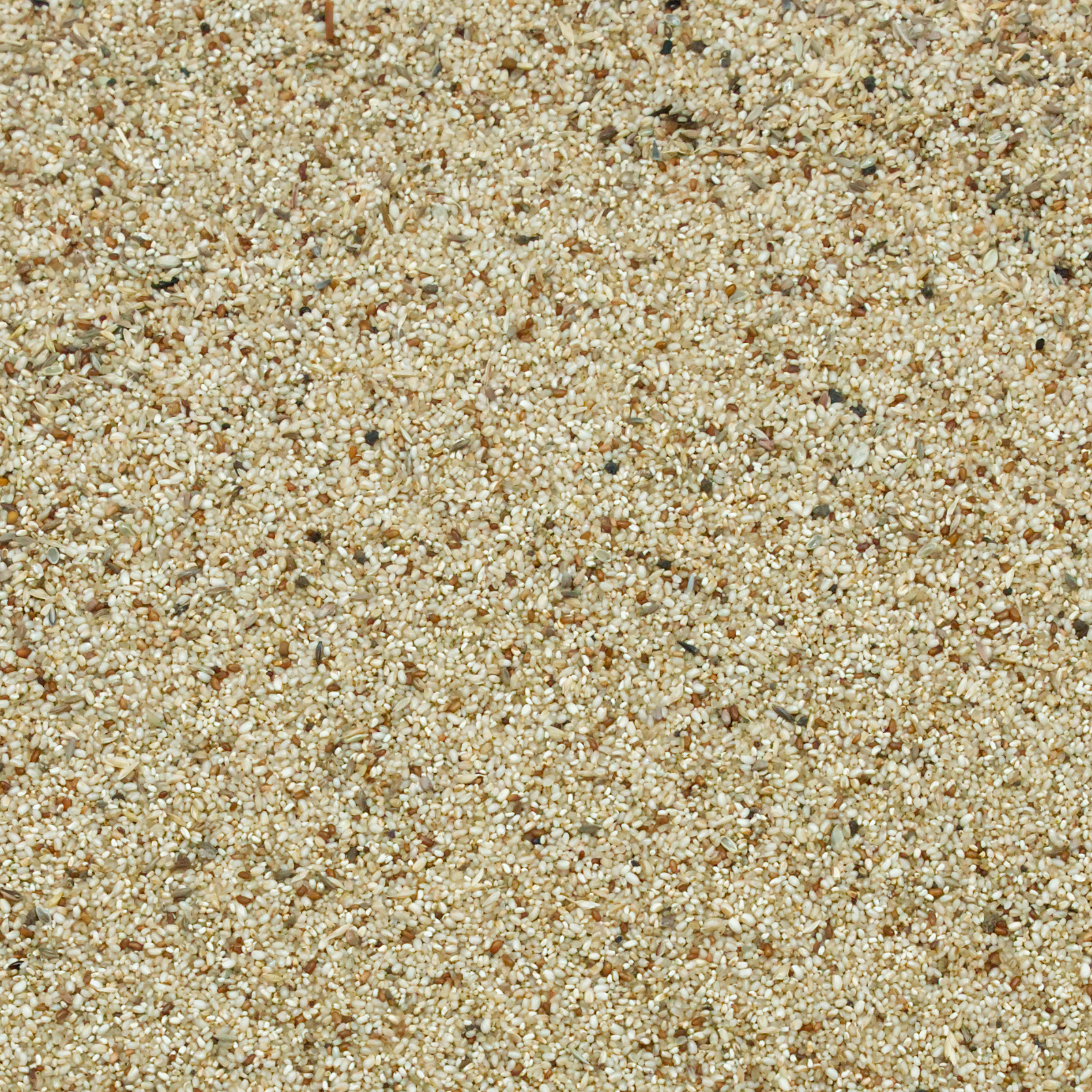 teff-naturmix-einzelfutter-fuer-v-gel-koernerbude1