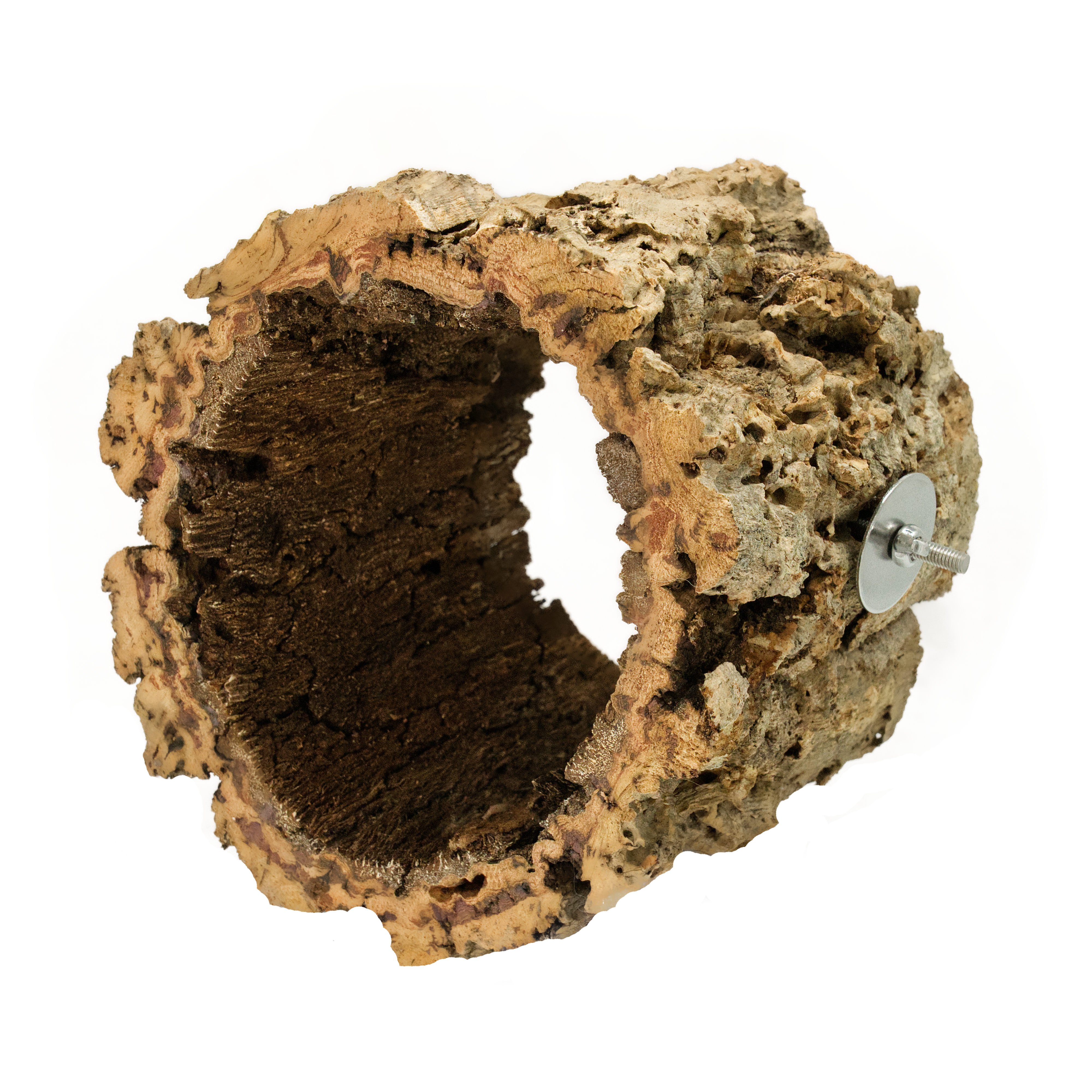 korksitzring_senkrecht_fuer_voegel_wellensittiche_nymphensittiche_koernerbdue