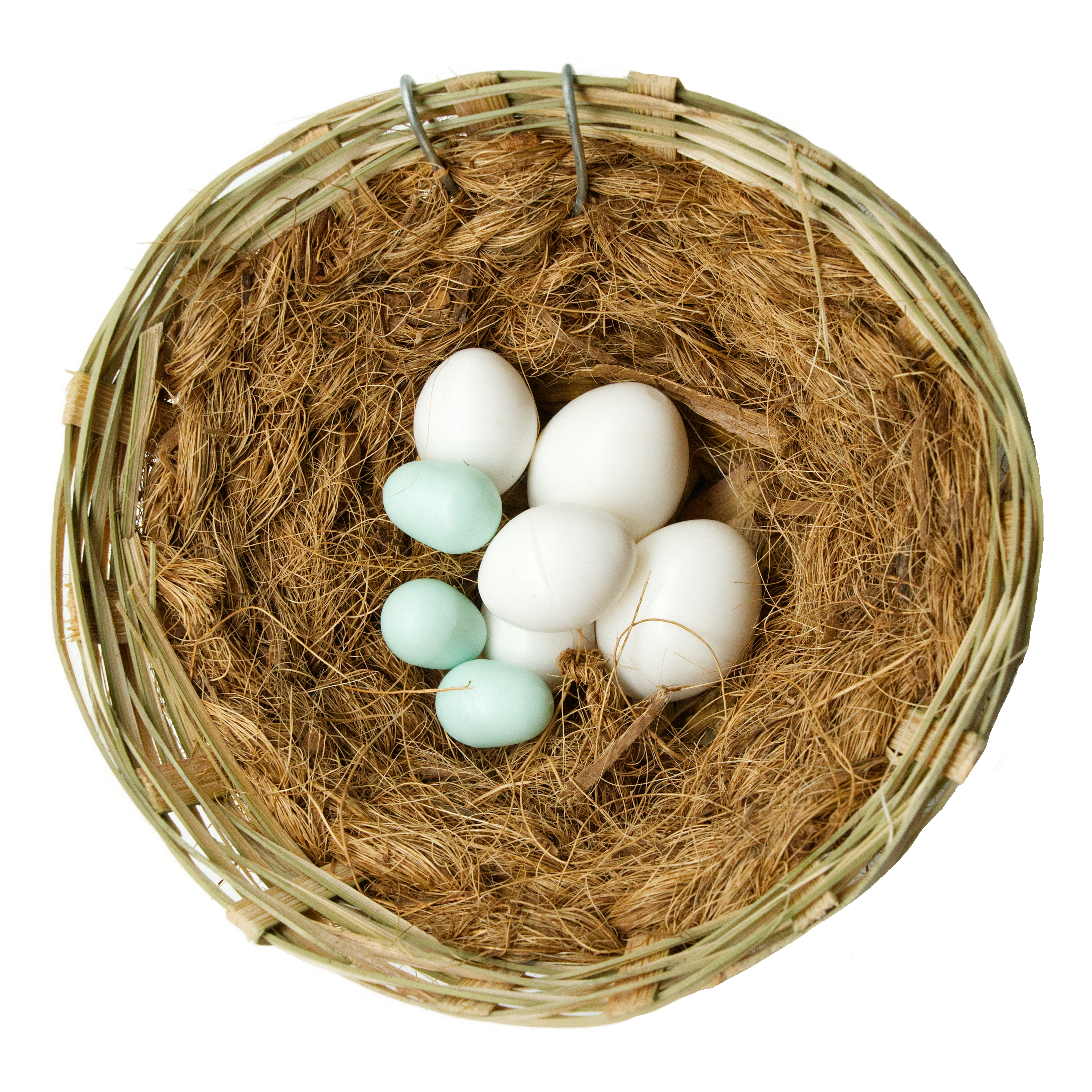 Sitticheier / Nesteier