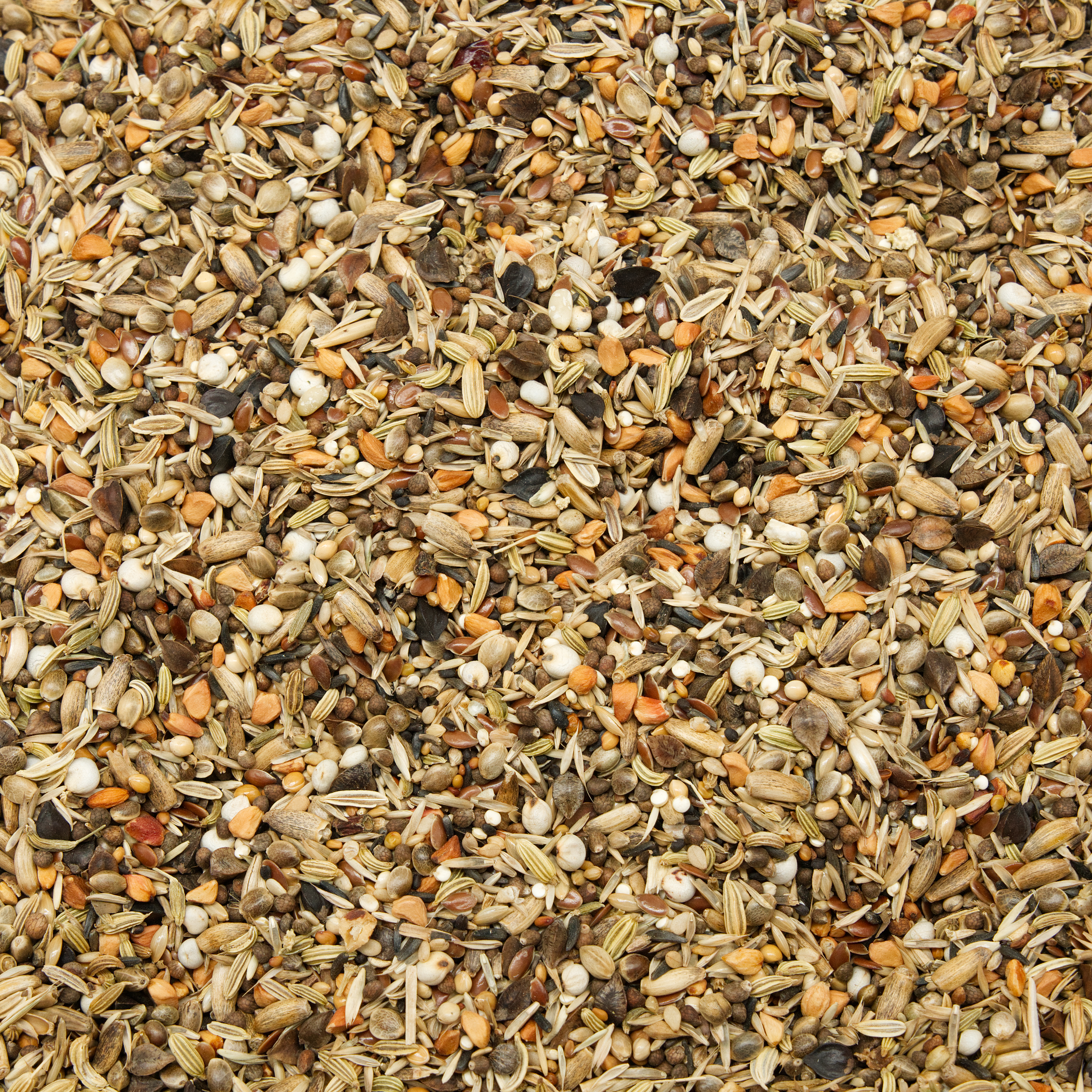 degu_saaten_basisfutter_koernerbudeHCa3XqcUy3QkG