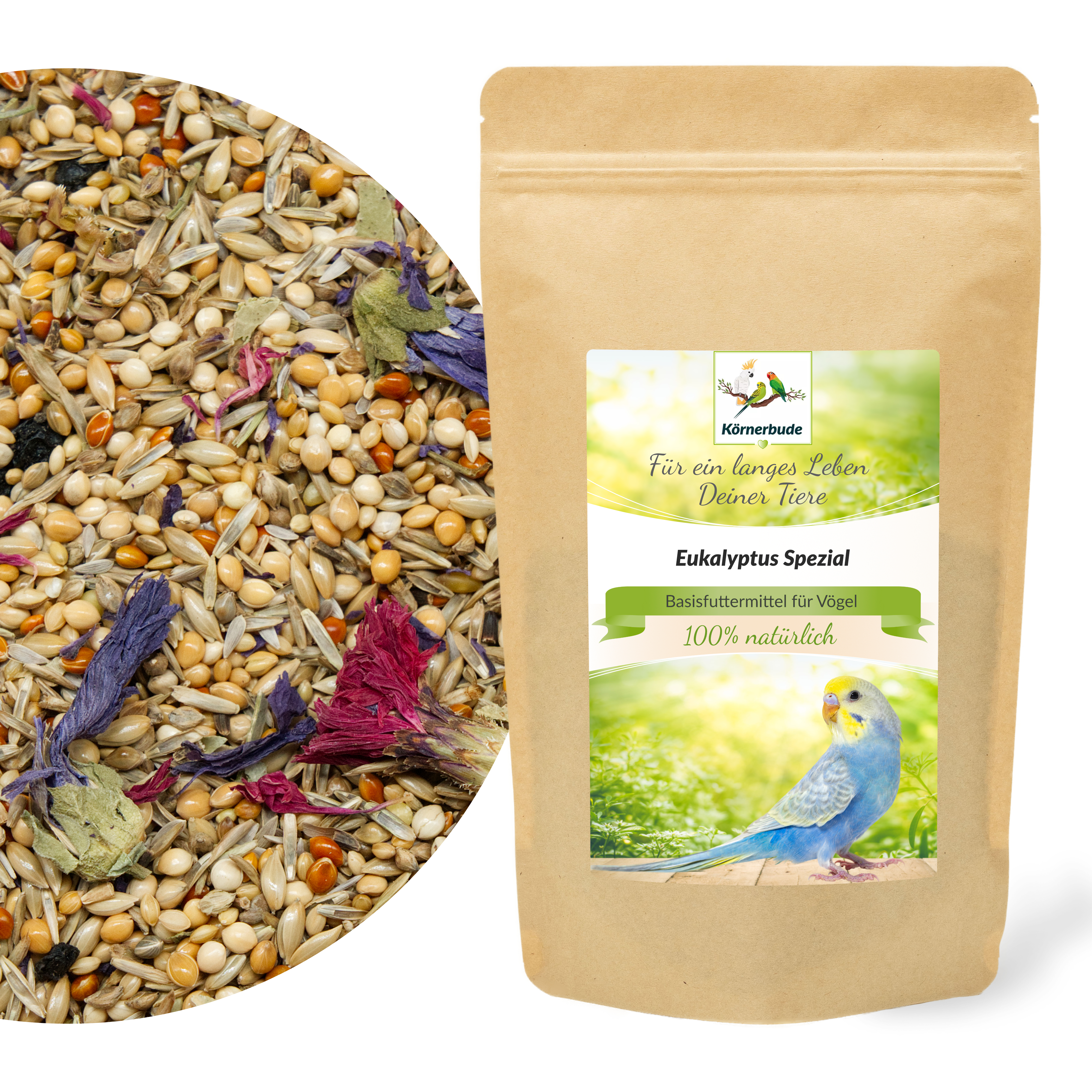 eukalyptus_wellensittich_spezial_koernerbude_wellensittichfutter Eukalyptus Spezial