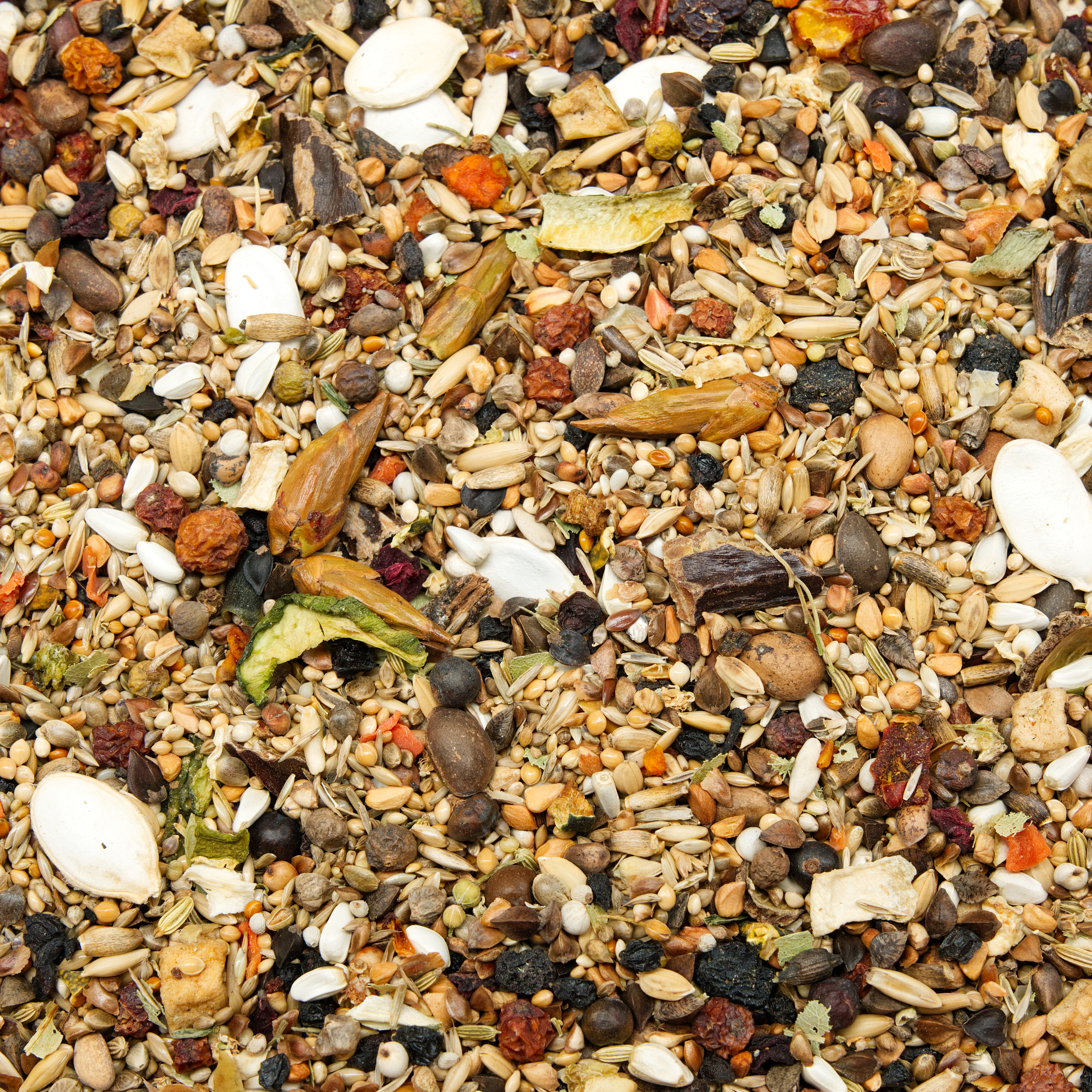 Kakadu Baum- und StrauchMIX