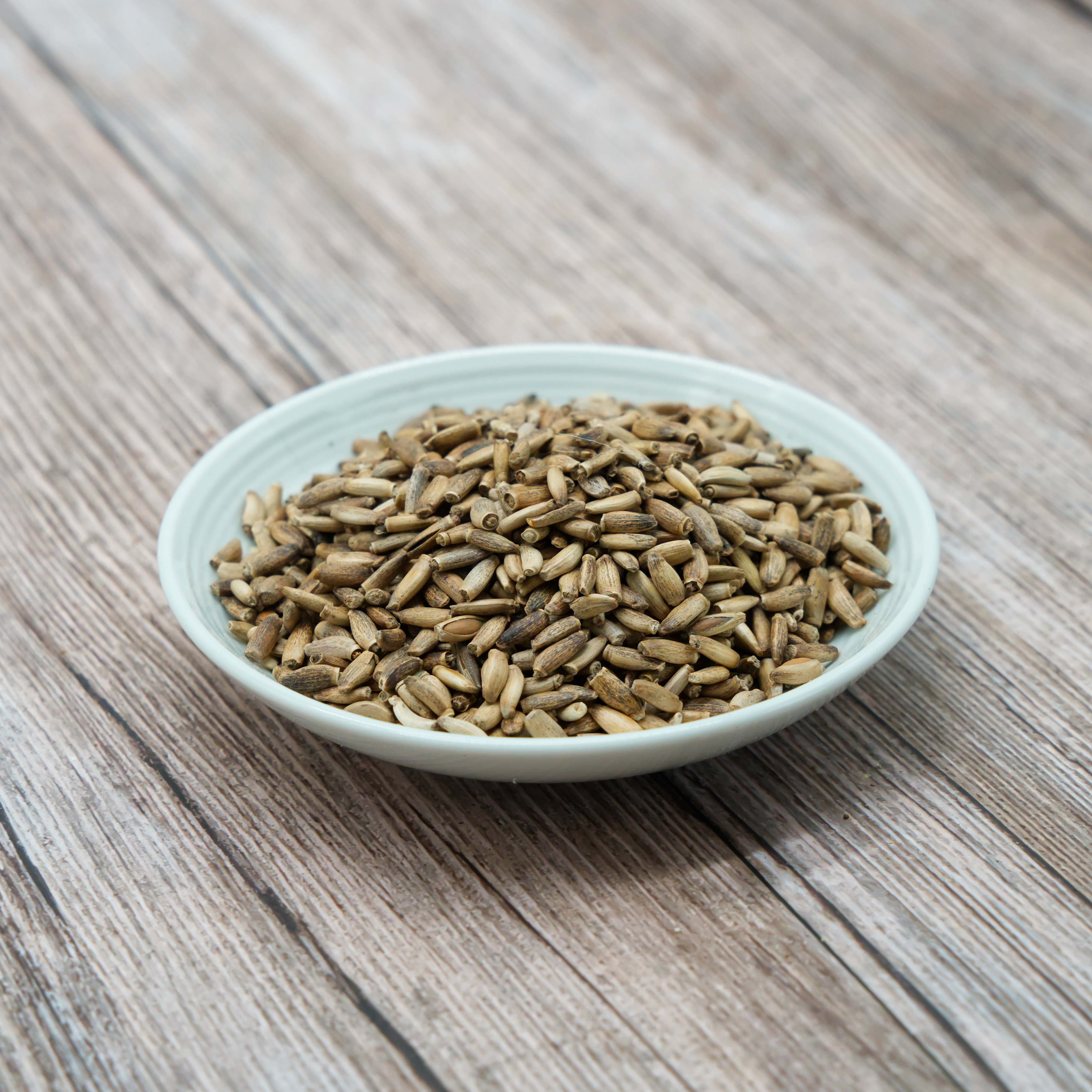 mariendistel-weiss-einzelfutter-fuer-voegel-koernerbude Mariendistelsamen