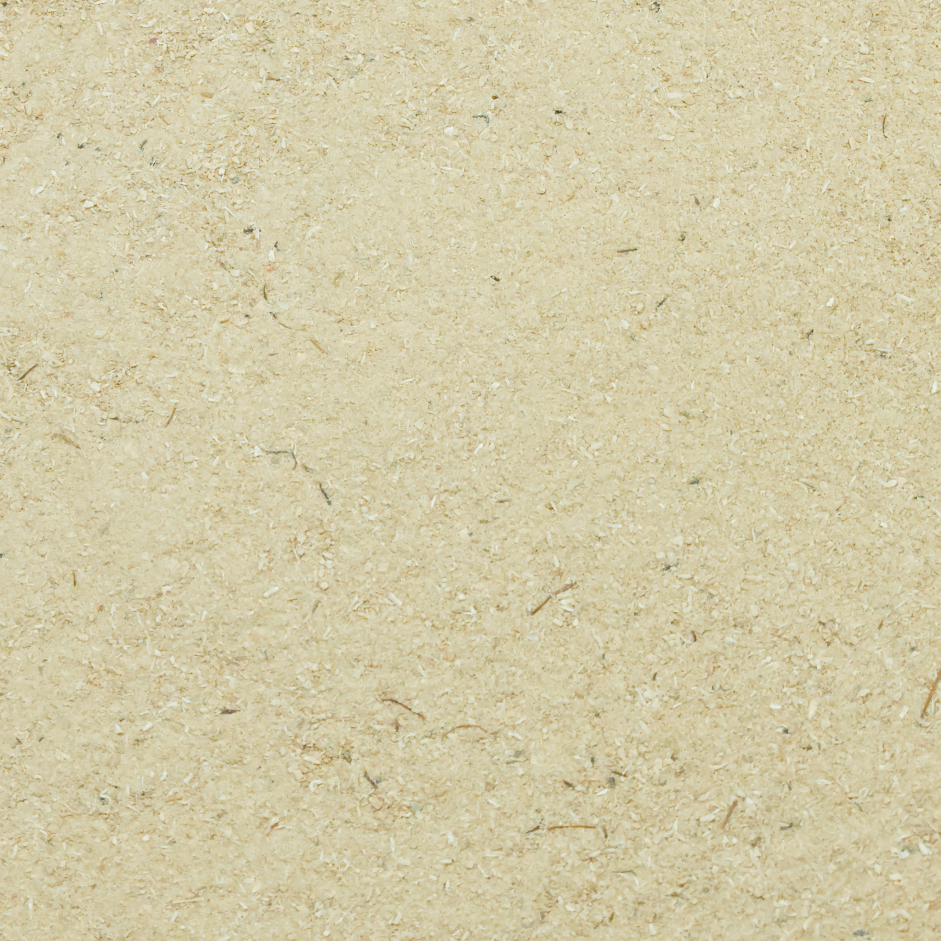 gruenlippmuschel-einzelfutter-fuer-voegel-koernerbude Grünlippmuschelmehl, 100g