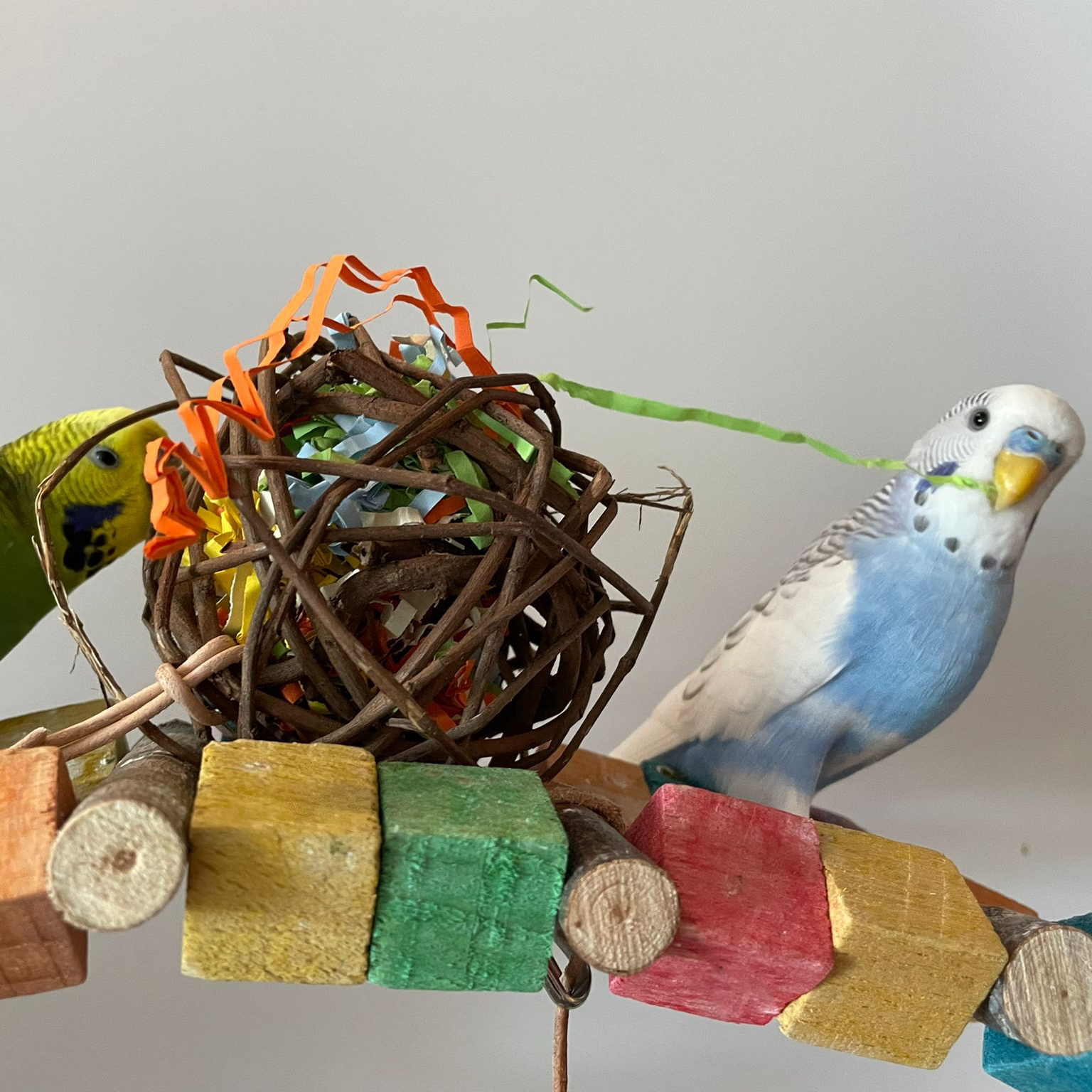 crushel_ball_fuer_sittiche_wellensittiche_nymphensittiche_koernerbude