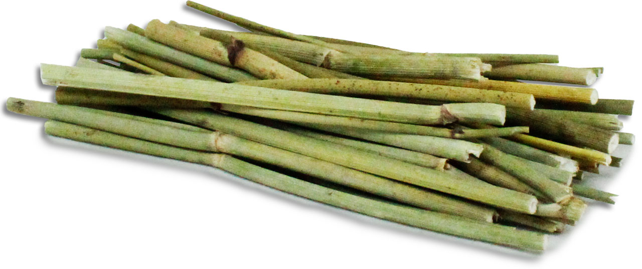 JR Fenchel-Stäbchen 15 g