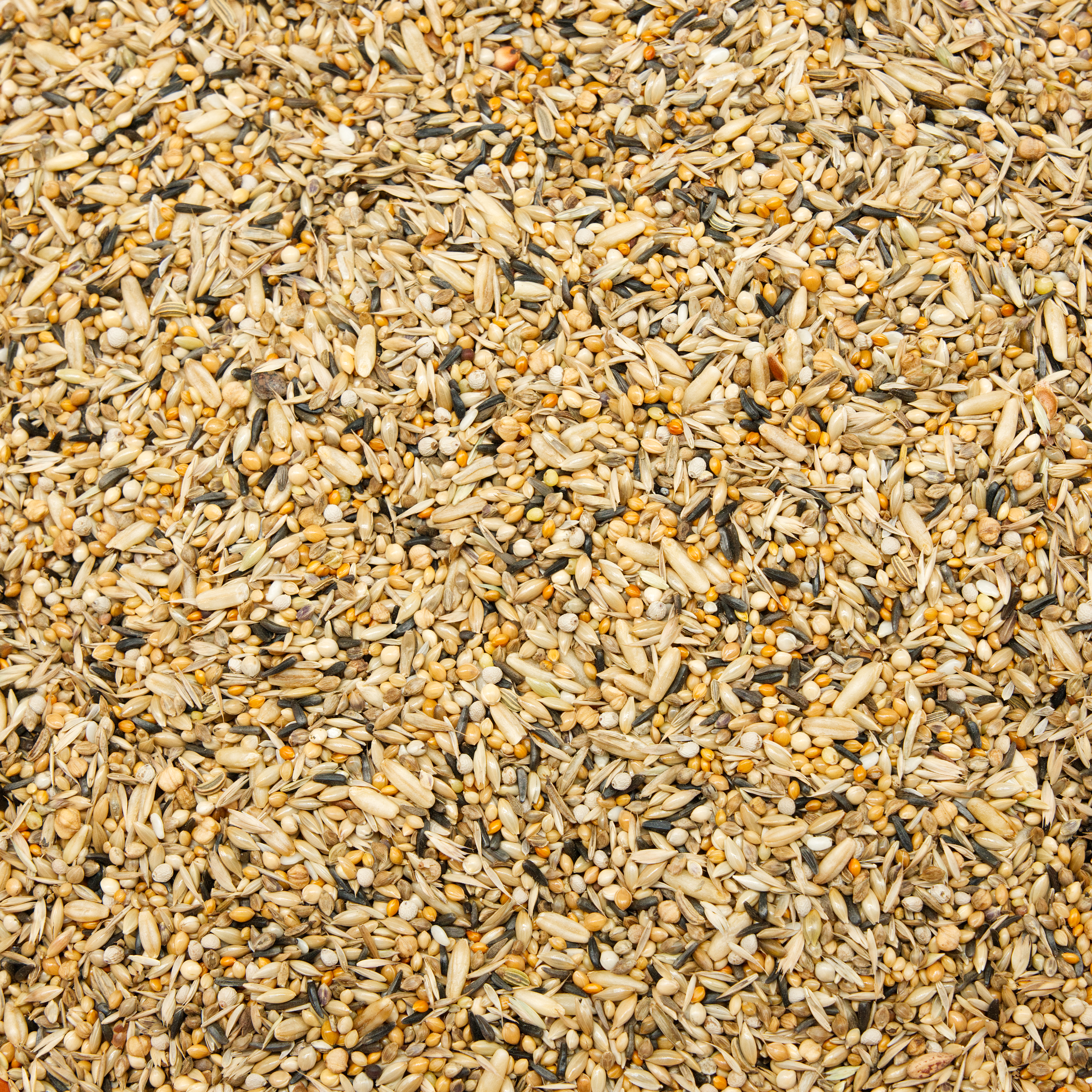 basismischung_exoten_zebrafinken_japanische_m-vchen_futter_koernerbude