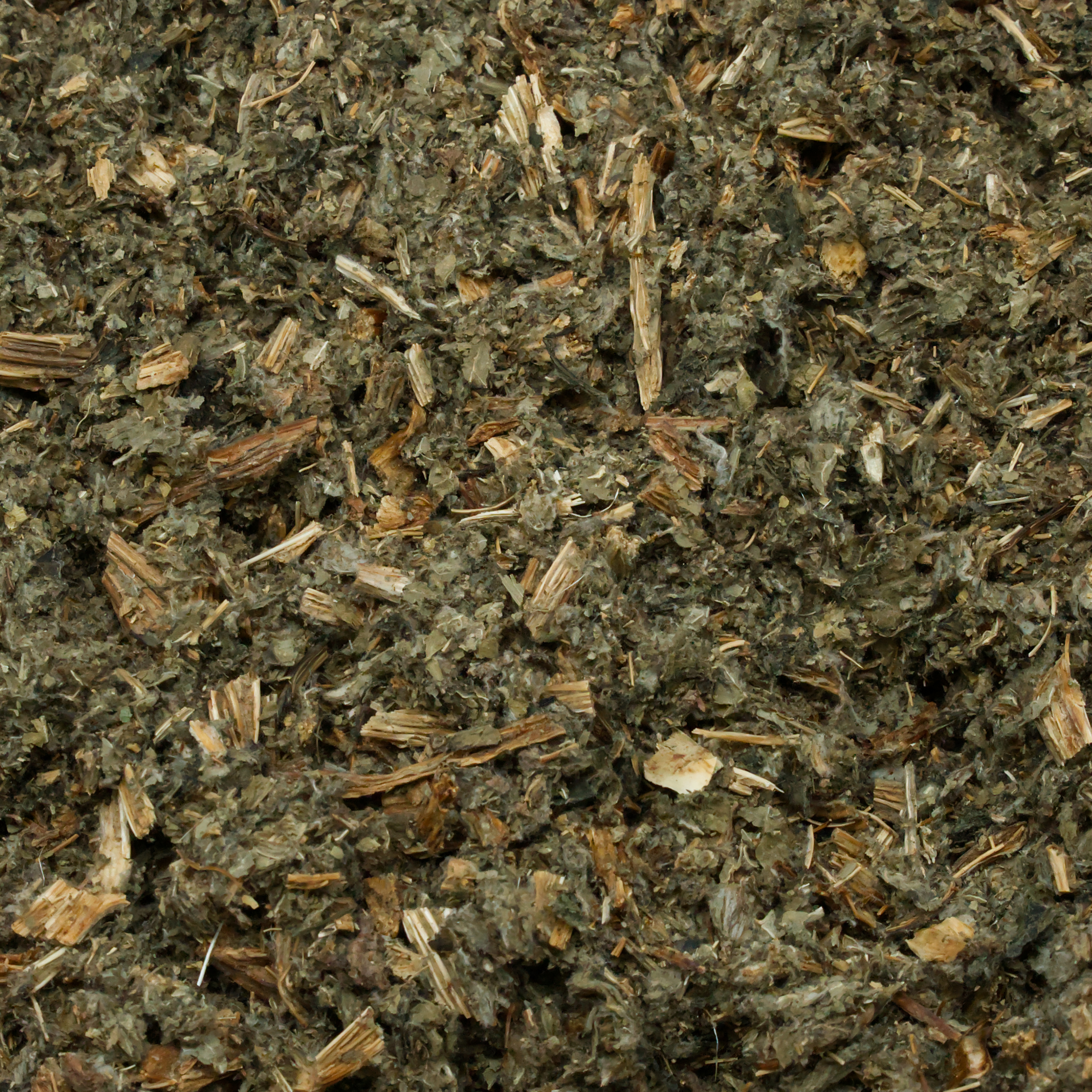 artischockenkraut-einzelfutter-fuer-voegel-koernerbude1 Artischockenkraut getrocknet geschnitten