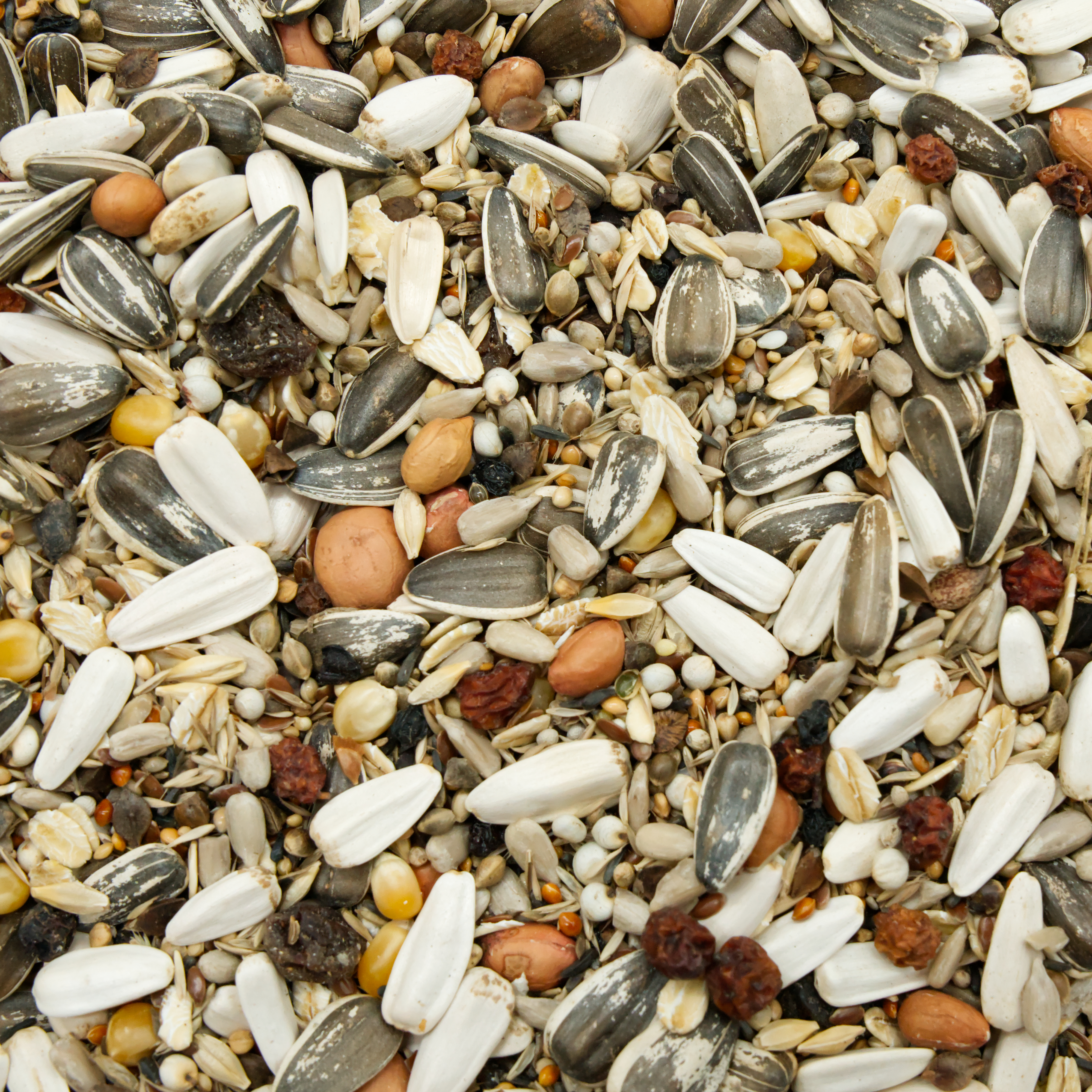 wildvogel_gourmet_ganzj-hrig