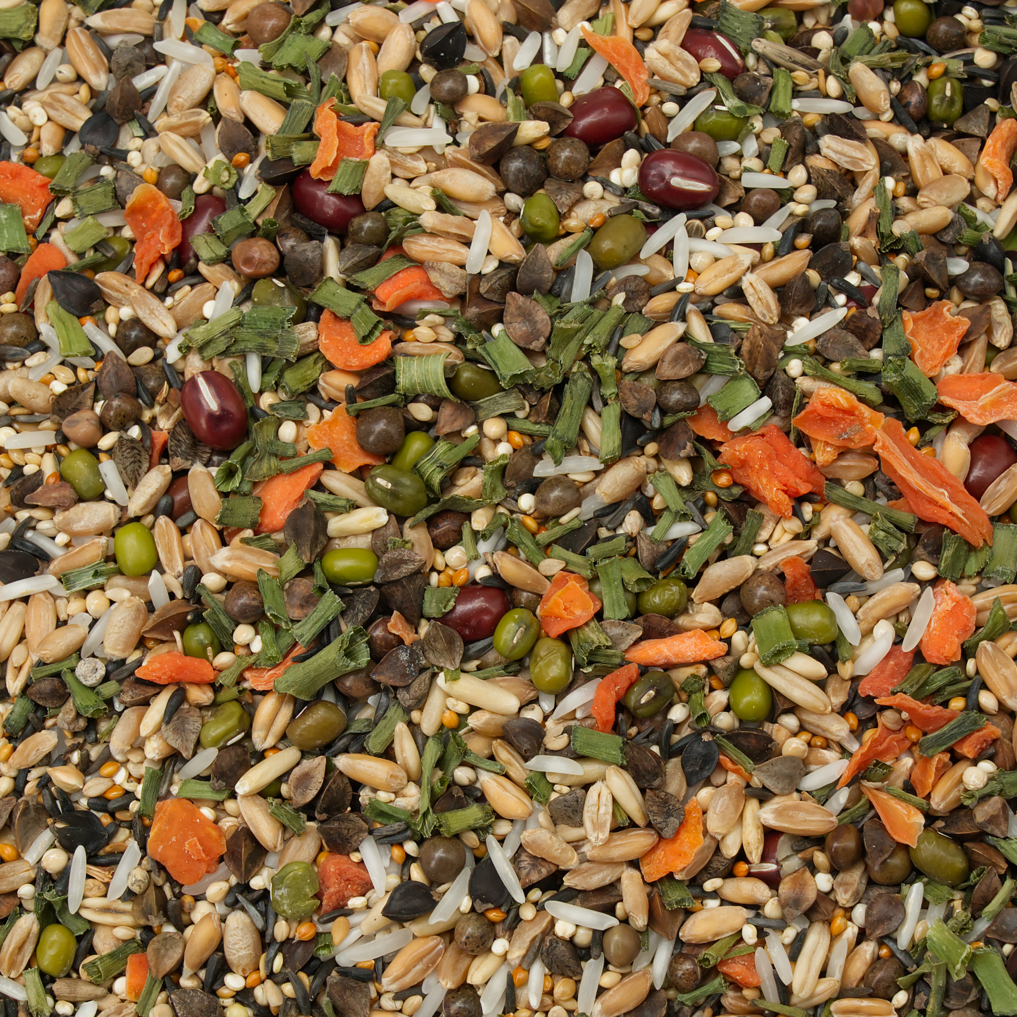 kochfutter_fuer_kanarien_koernerbude