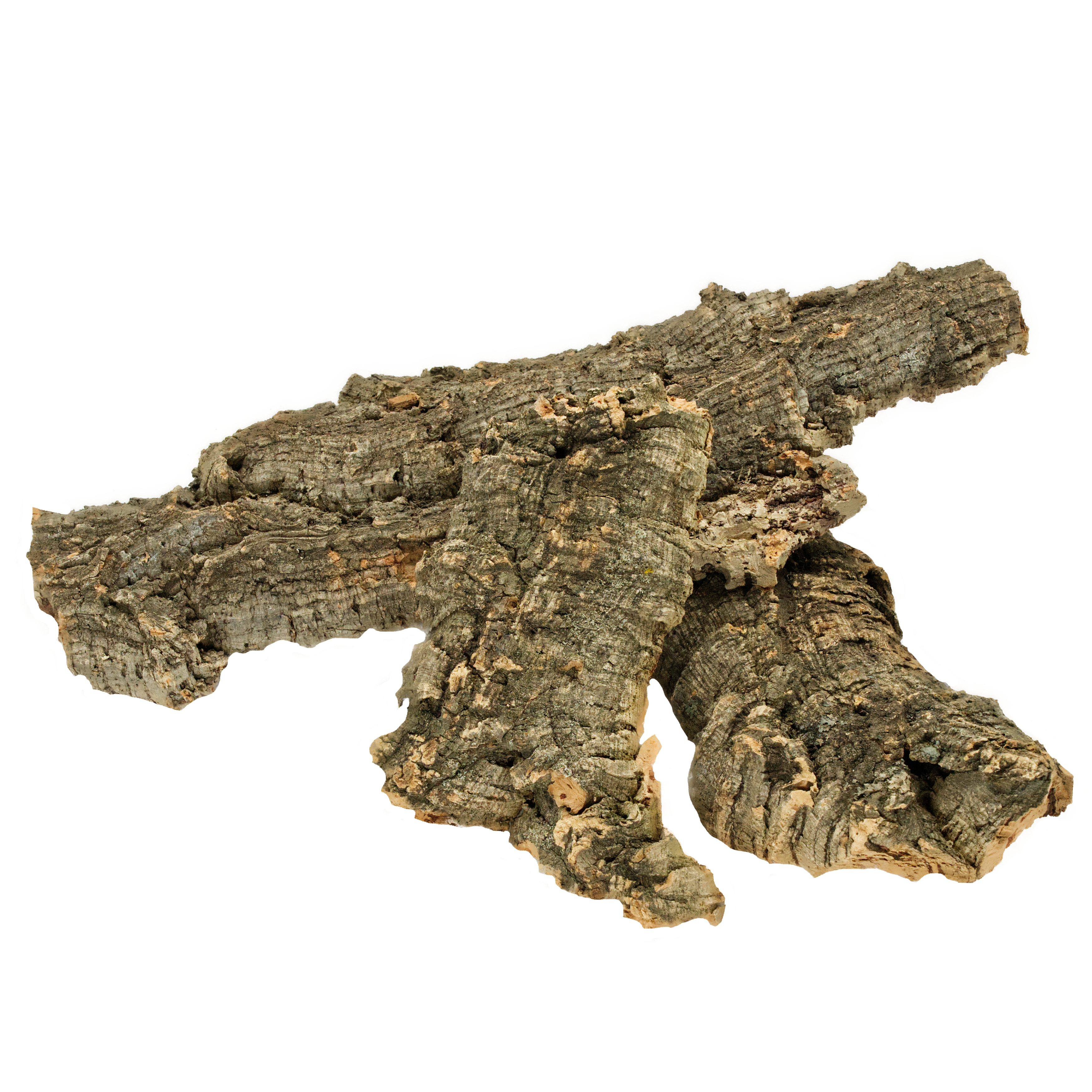 korkstuecke_fuer-voegel-papageien-sittiche-koernerbude Korkrinde Stücken 500g