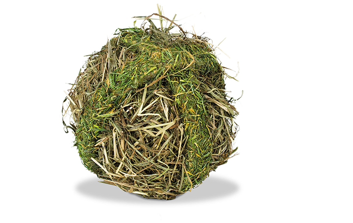 16262N6ASZss09Vc2b JR Wiesen-Heuball 125 g