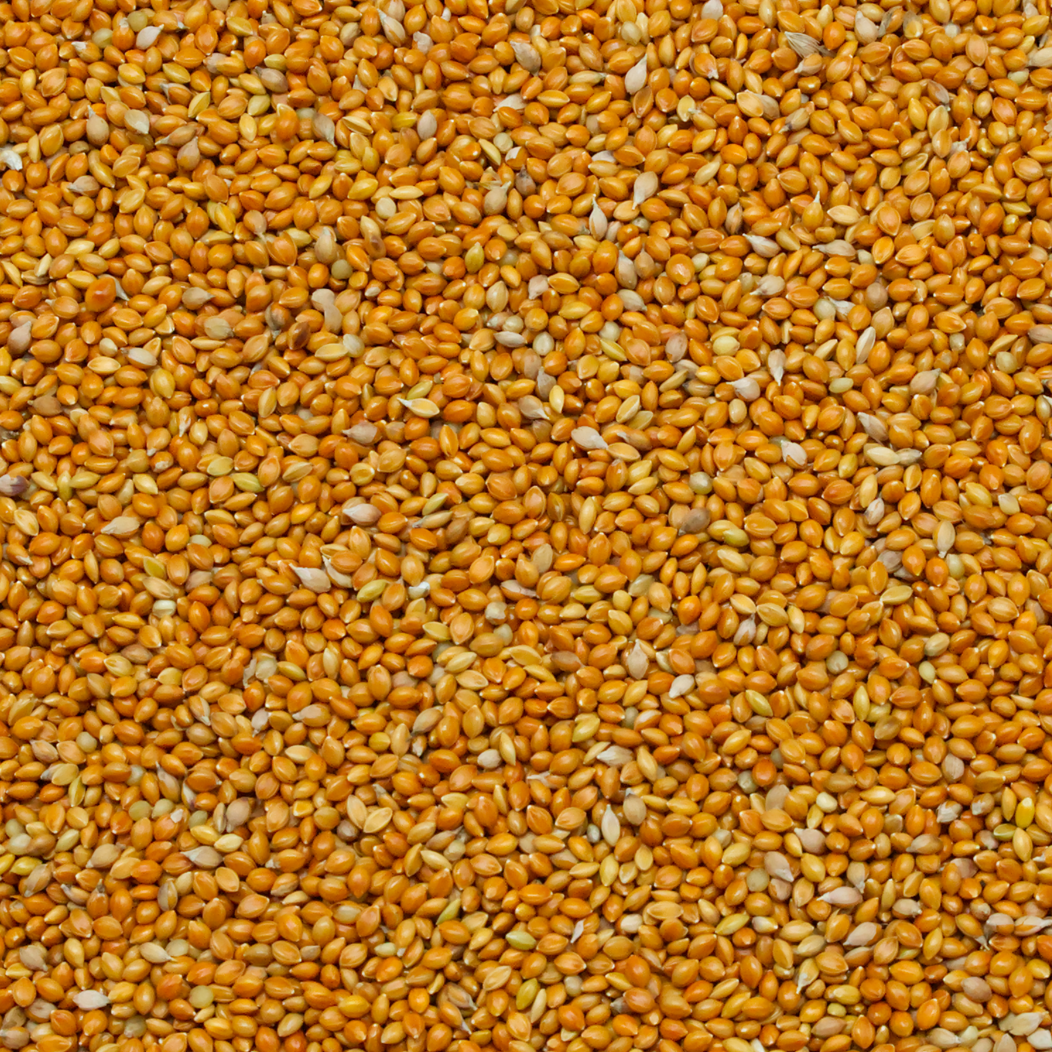 mohairhirse-naturmix-einzelfutter-fuer-v-gel-koernerbude1