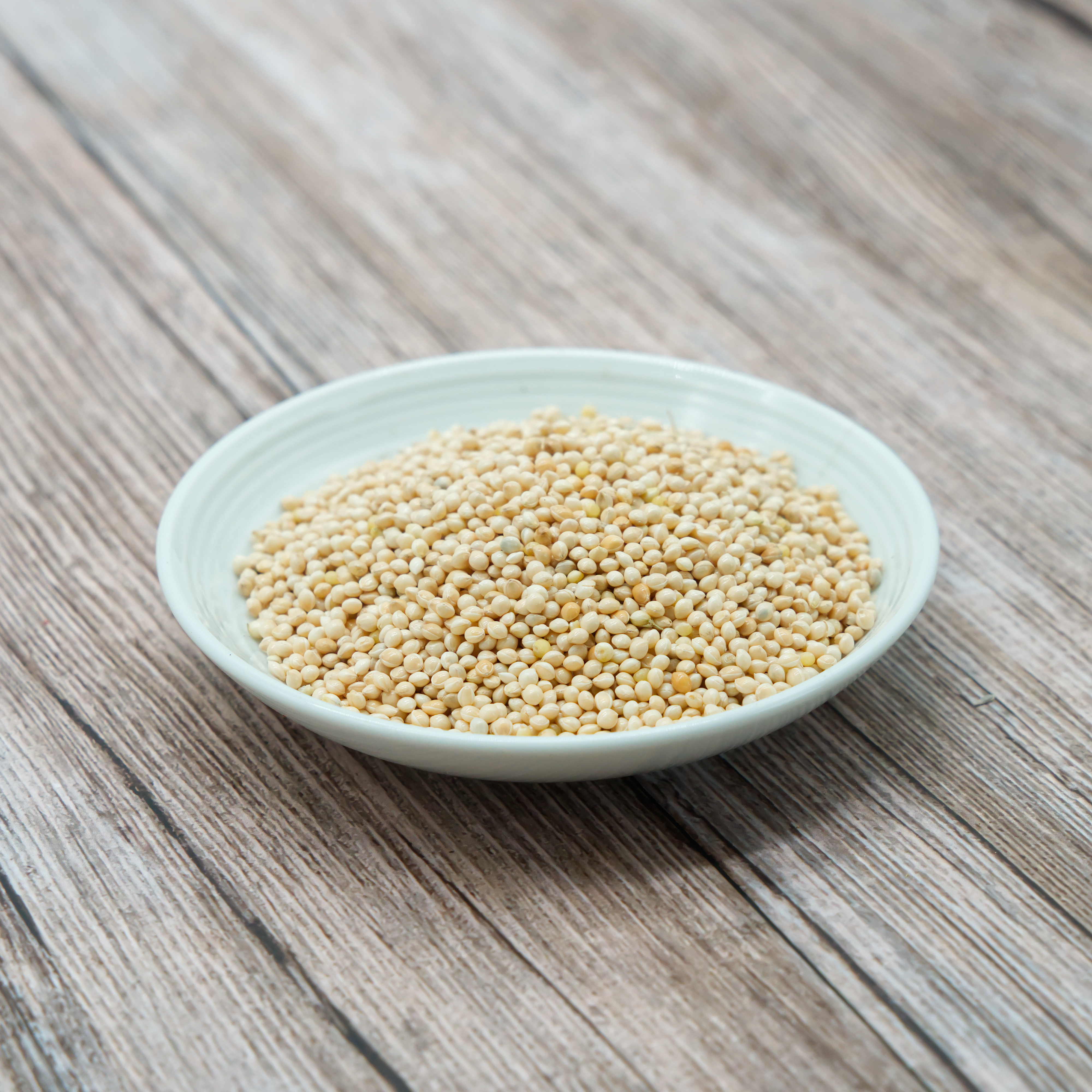 silberhirse-einzelfutter-fuer-v-gel-koernerbude Silberhirse