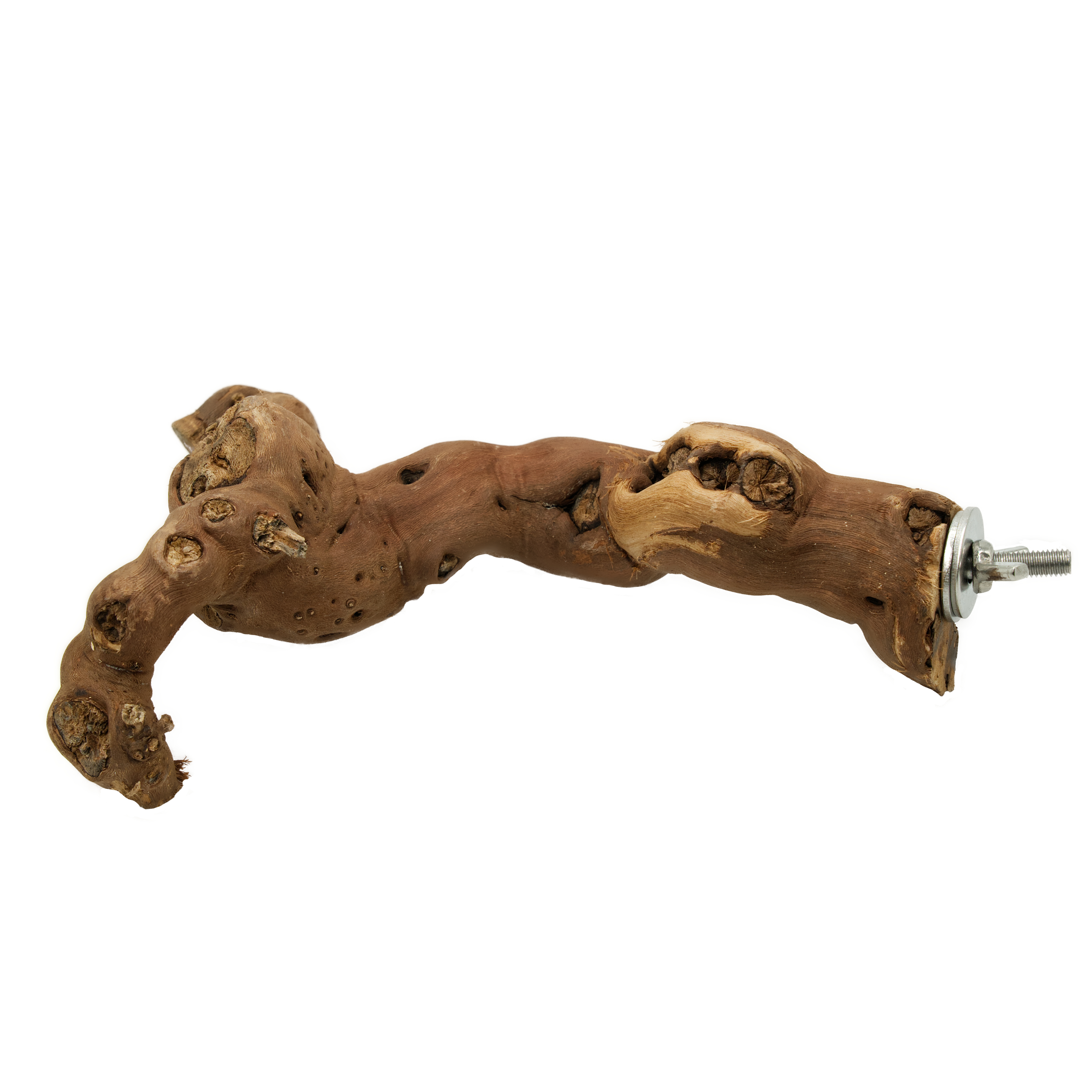 rebknuddel_sitzast_fuer_voegel_koernerbude Weinreben Sitzast mit Edelstahlhalterung Größe ca. 10-20cm