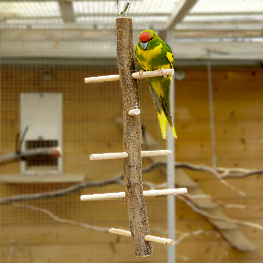 sitzspirale-fuer-voegel-50cm-koernerbude