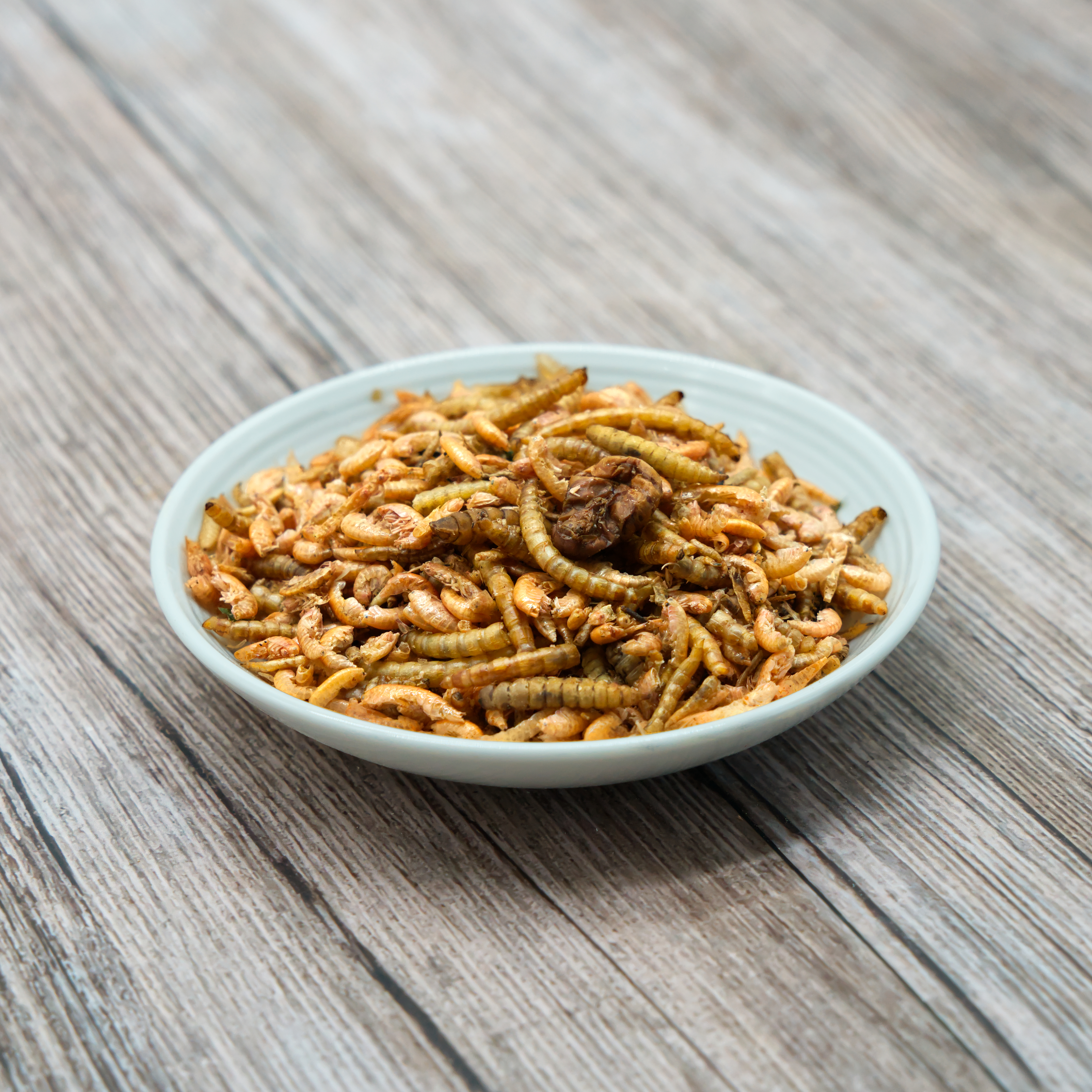 insektenmix-einzelfutter-fuer-voegel-koernerbude1 InsektenMIX, getrocknet