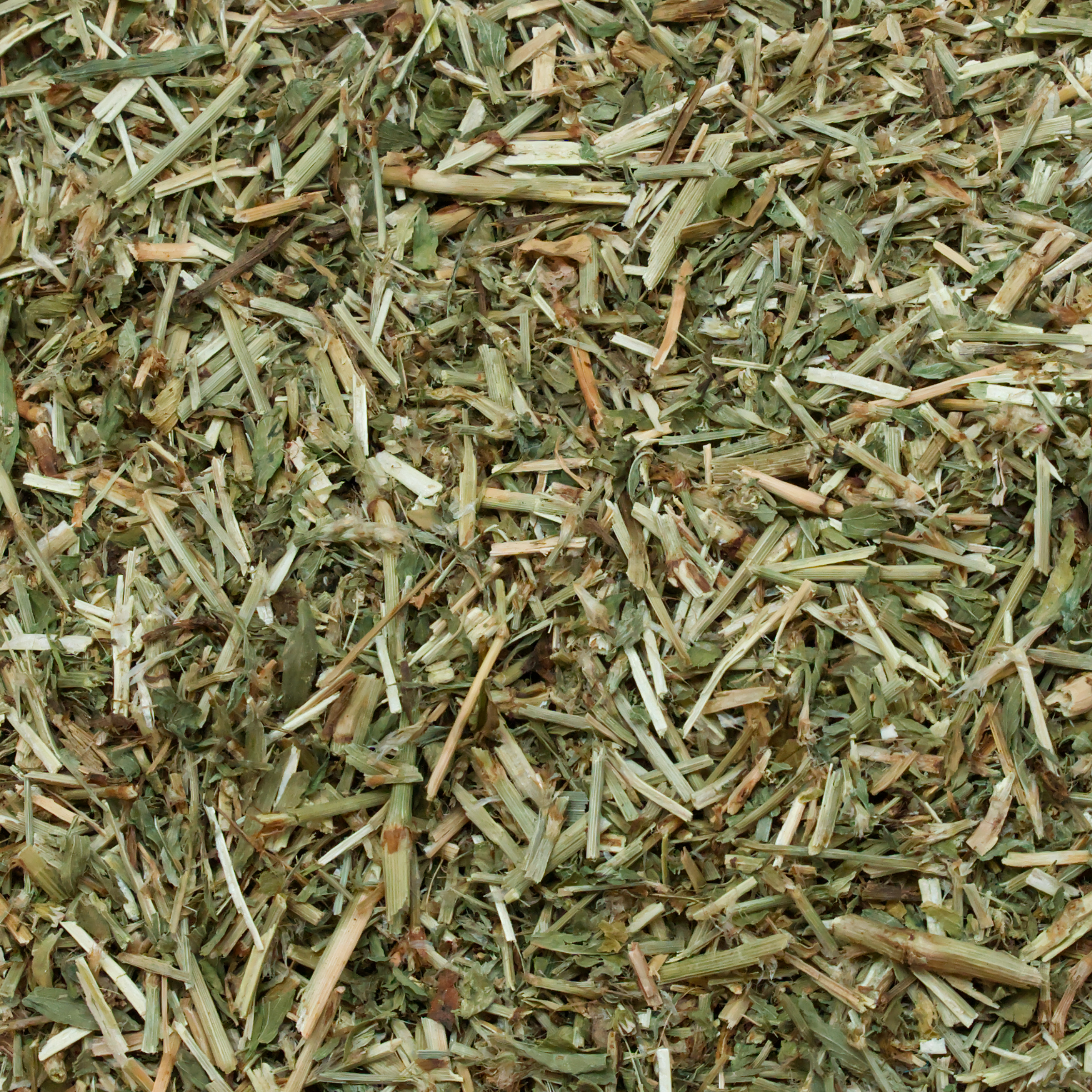 vogelknoeterich-einzelfutter-fuer-voegel-koernerbude1 Vogelknöterich getrocknet geschnitten