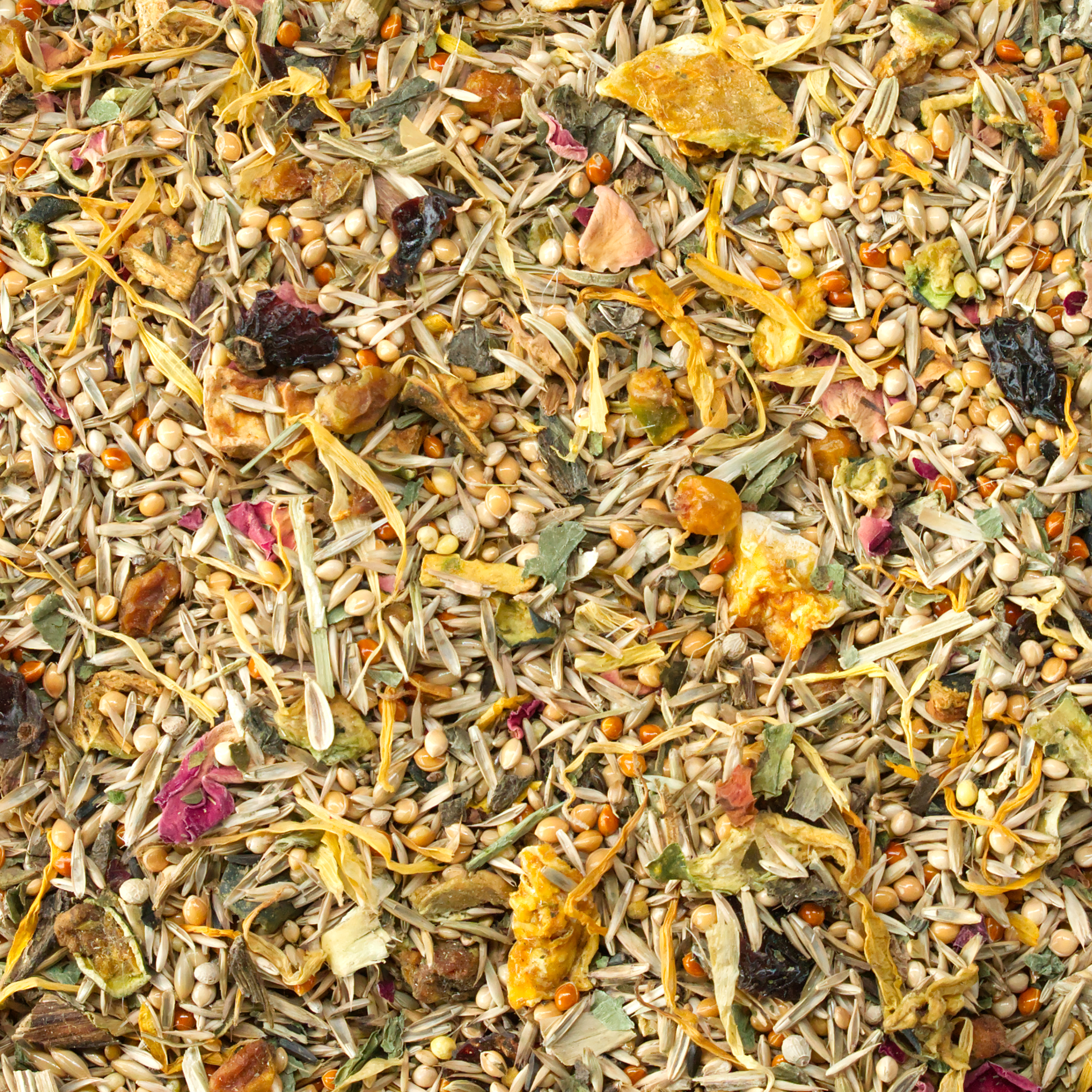 wellensittich-vitalnatur_wellensittichfutter_koernerbudeNNPsmknVhQCbS Wellensittich VitalNatur