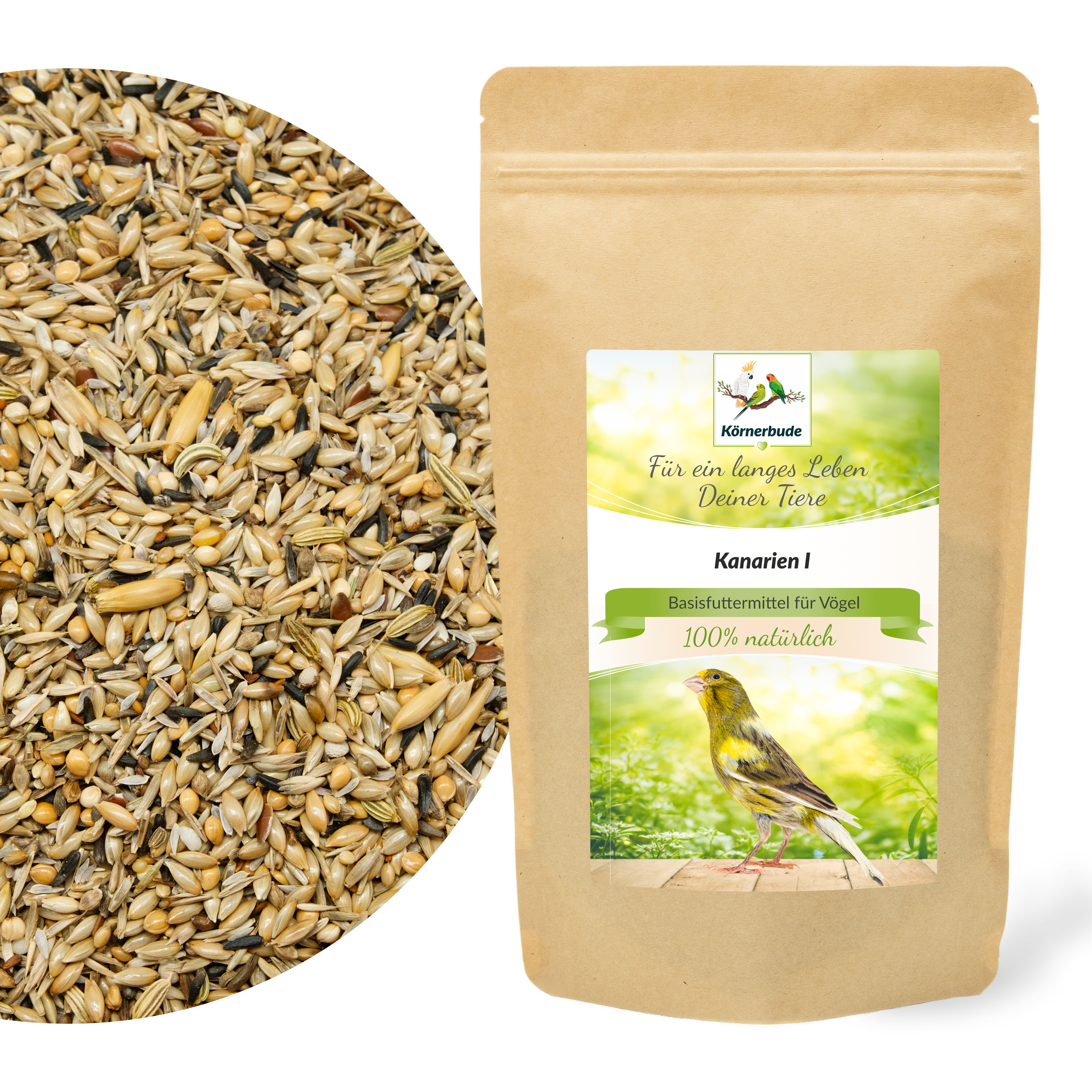 kanarien_I_kanairenfutter_koernerbude_shopbilder Kanarien I
