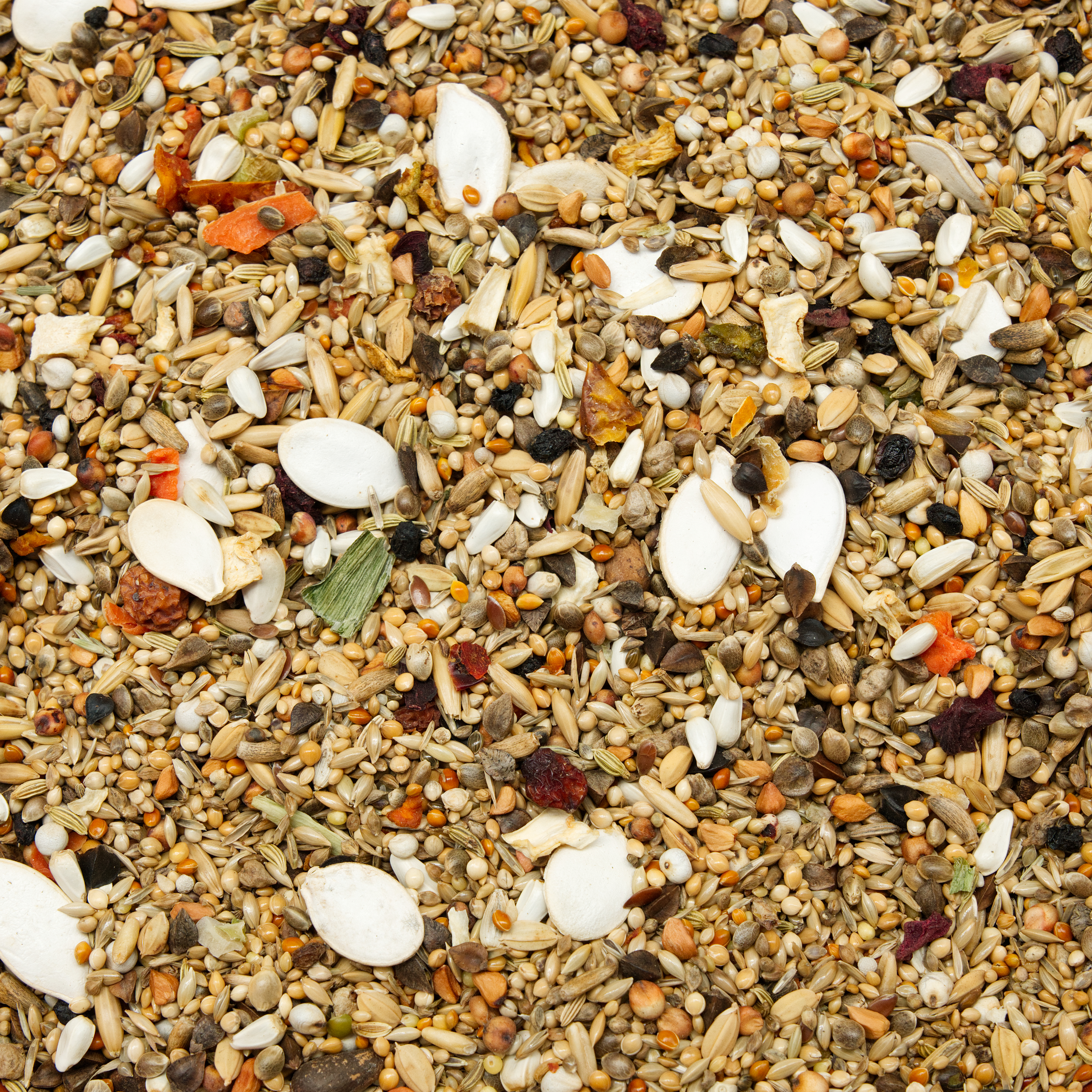 Grundmischung Rosakakadu