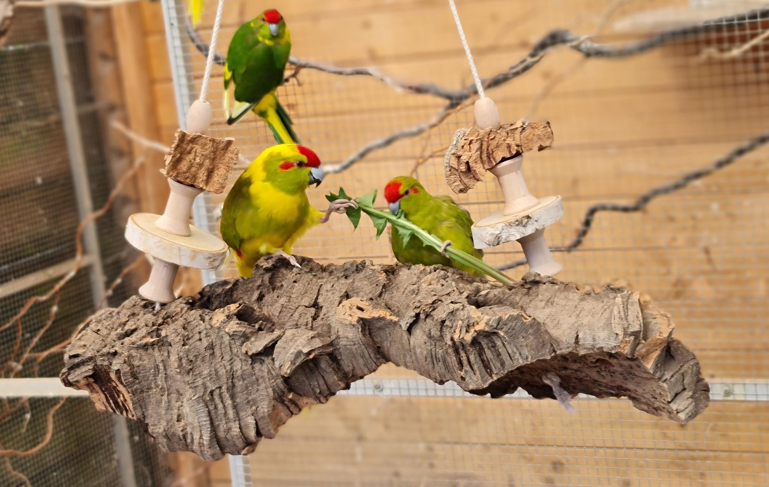 korkschredder_spielplatz_gross_1