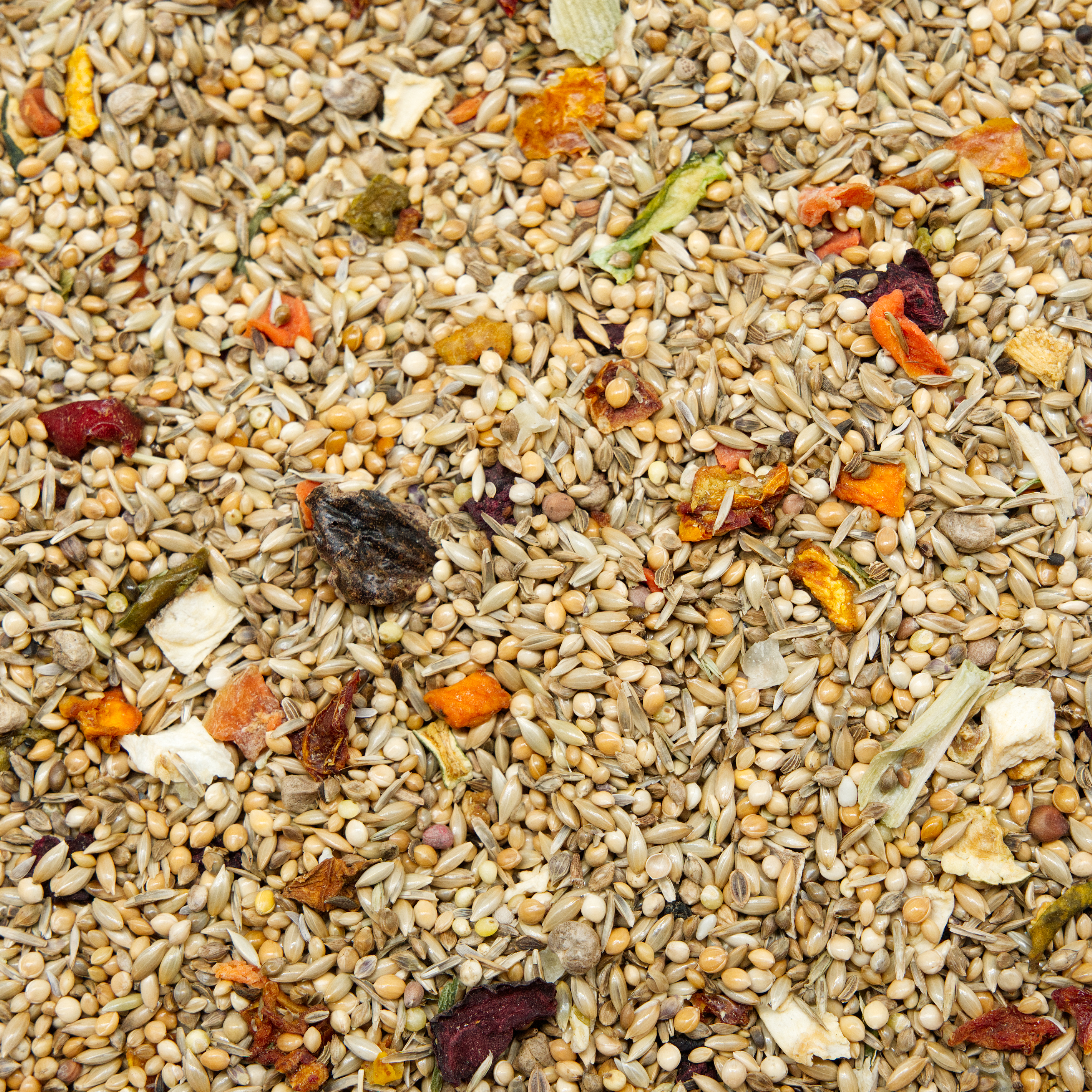 Wellensittich Gemüse