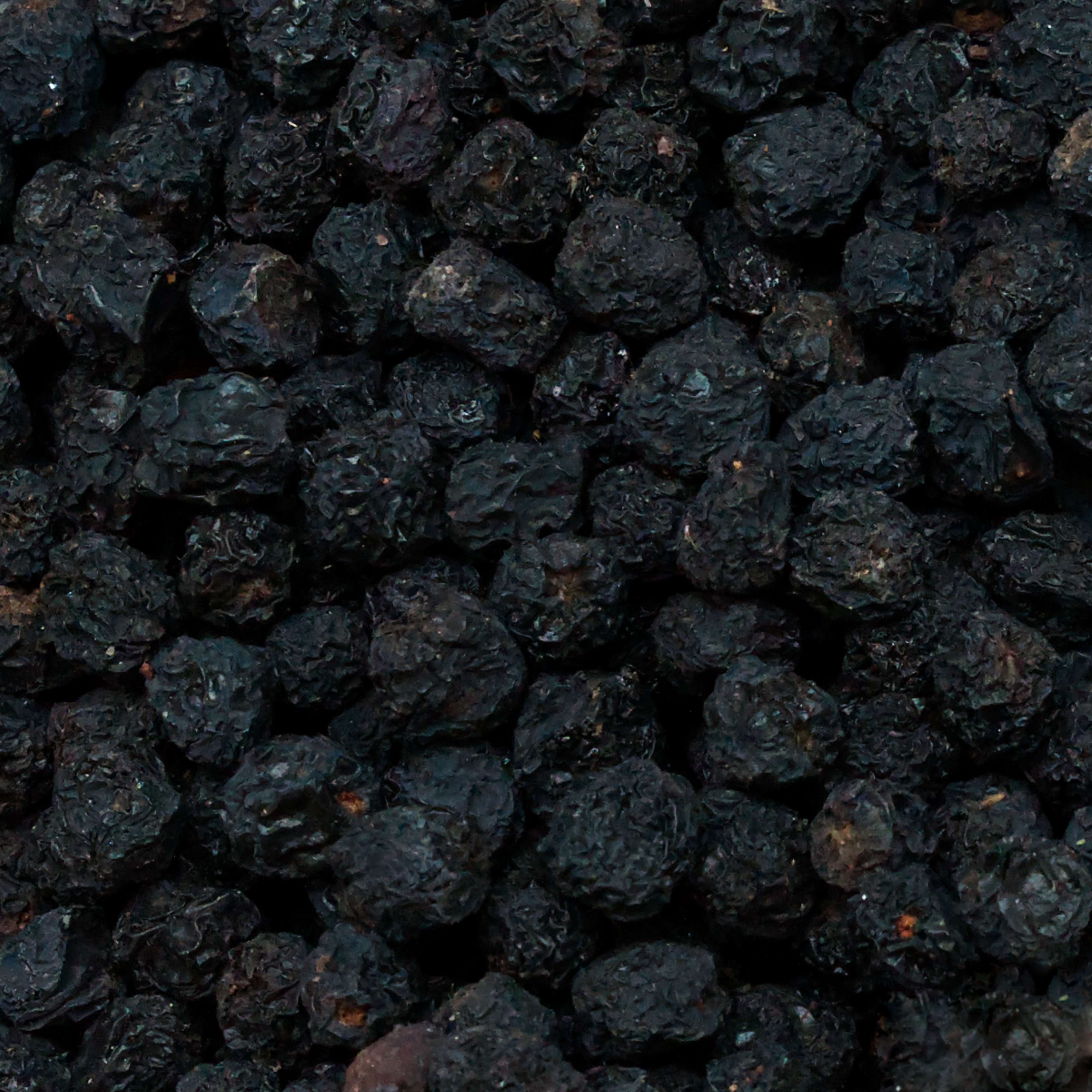 aroniabeeren-einzelfutter-koernerbude-voegel1 Aroniabeeren