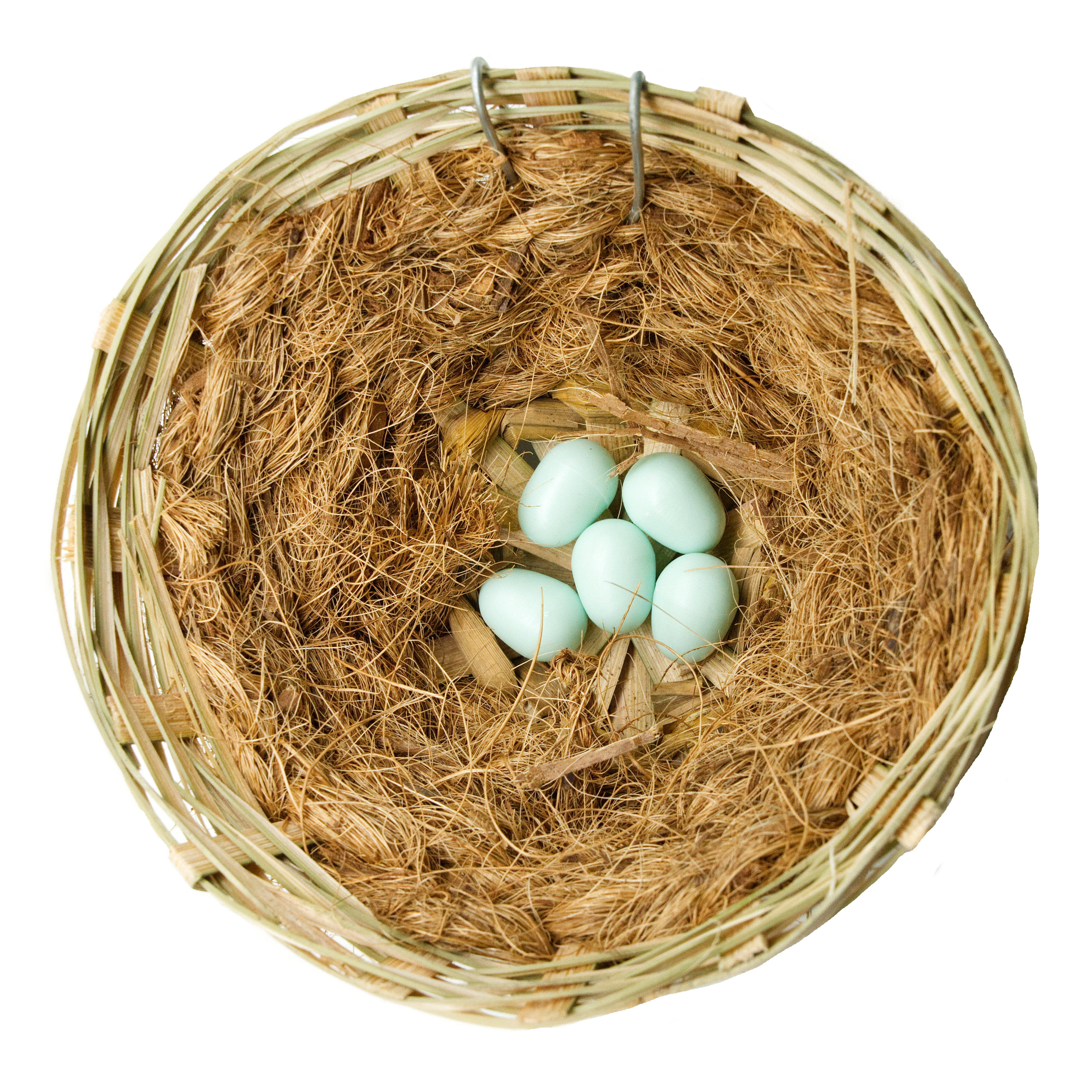 nesteier-kunsteier-exoten-koernerbude