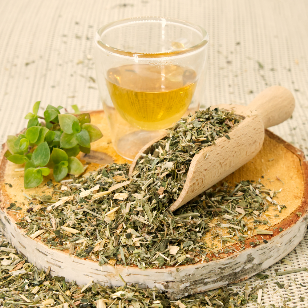 federpflege_mauser_tee_fuer_voegel_koernerbudeTpycglsltXeqx Federpflege-Mauser-Tee, 100g