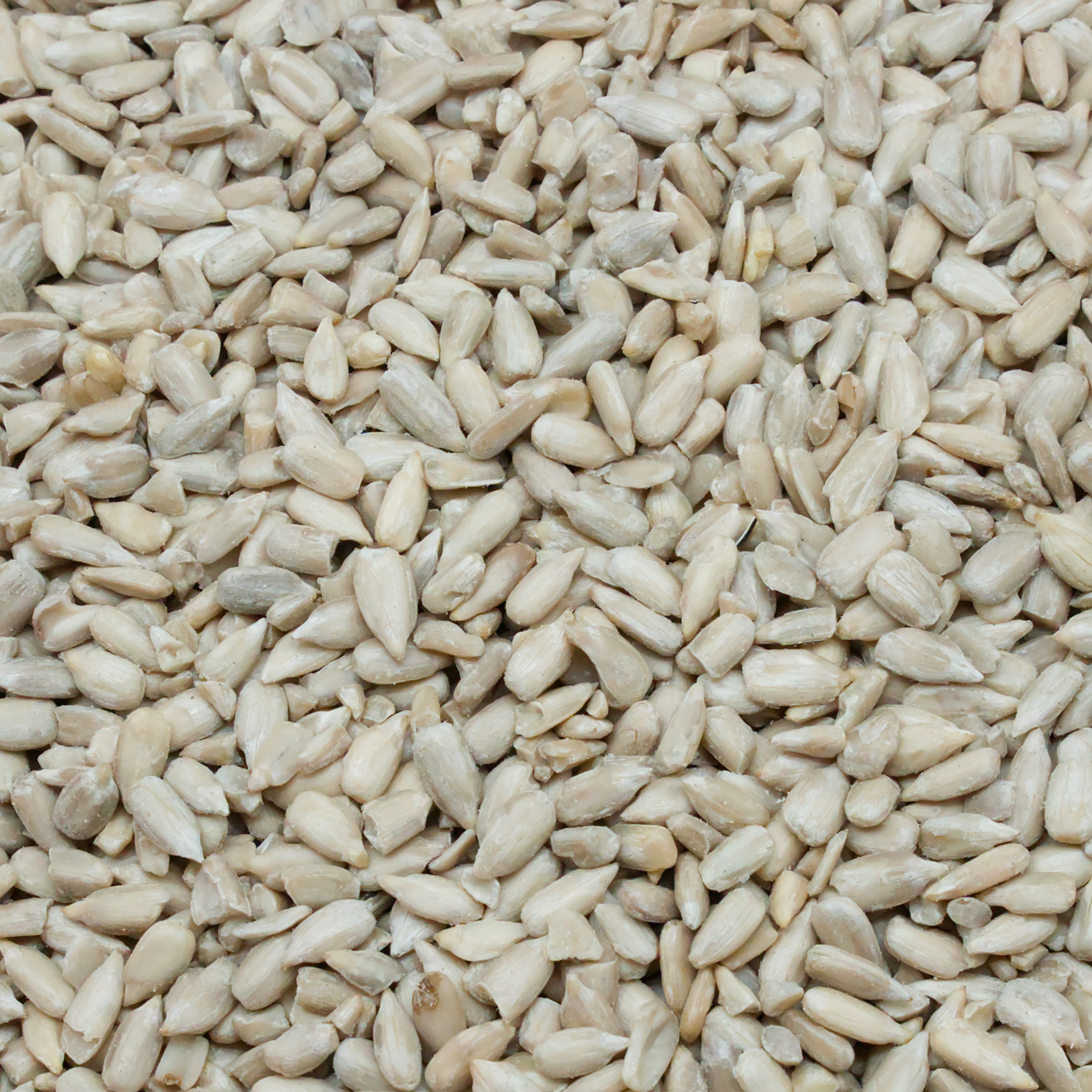 Sonnenblumenkerne, geschält